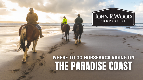 Horseback Riding Naples