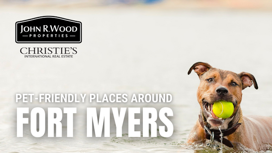 Pet Friendly Fort Myers
