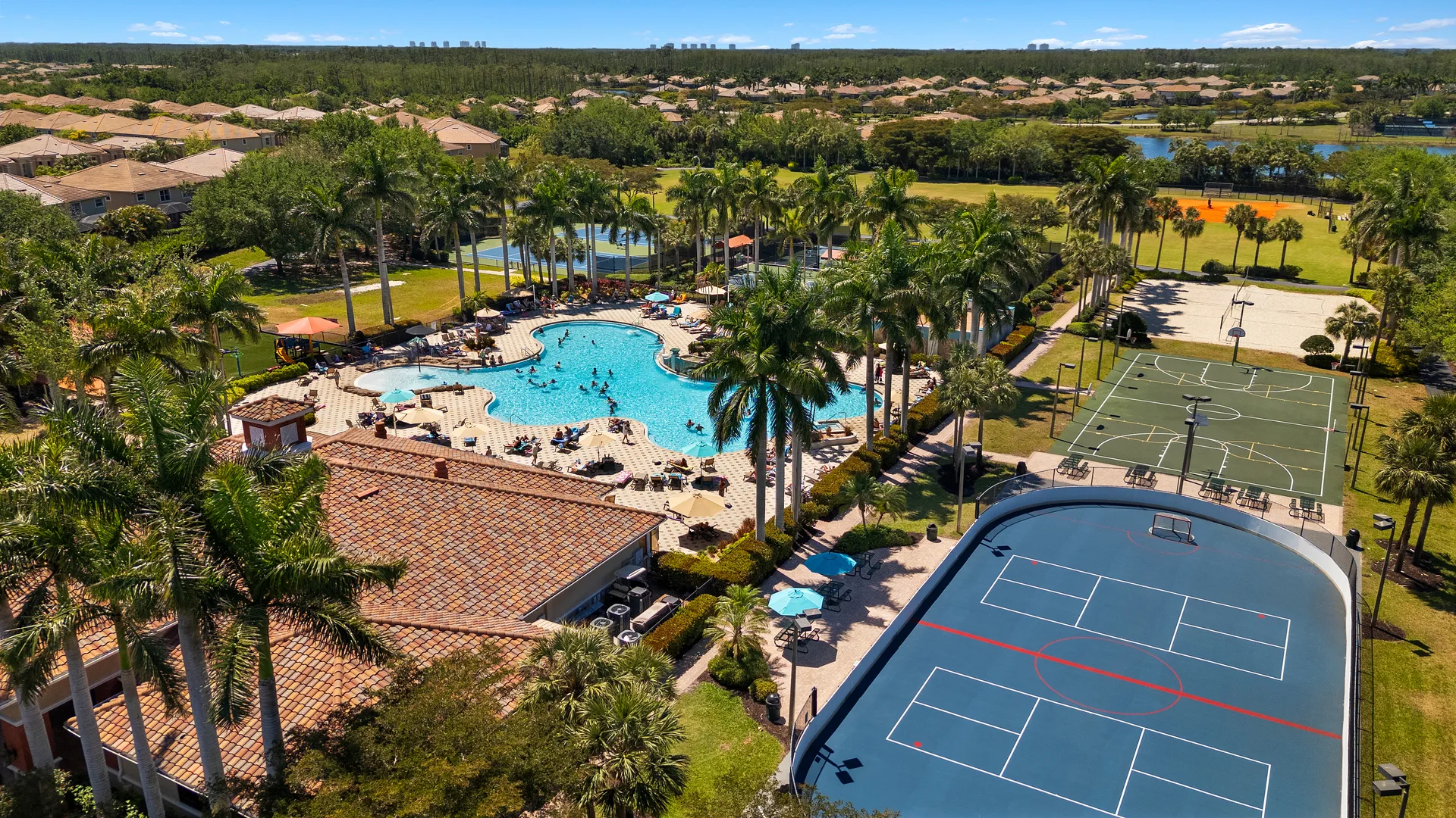 Palms and beach view