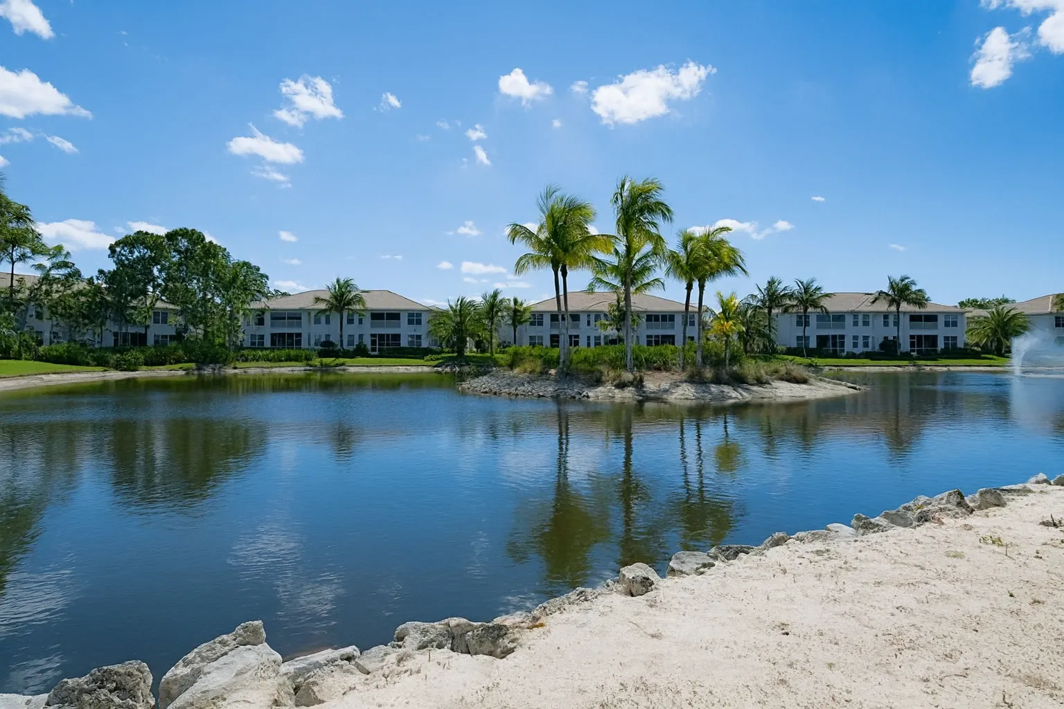 Palms and beach view
