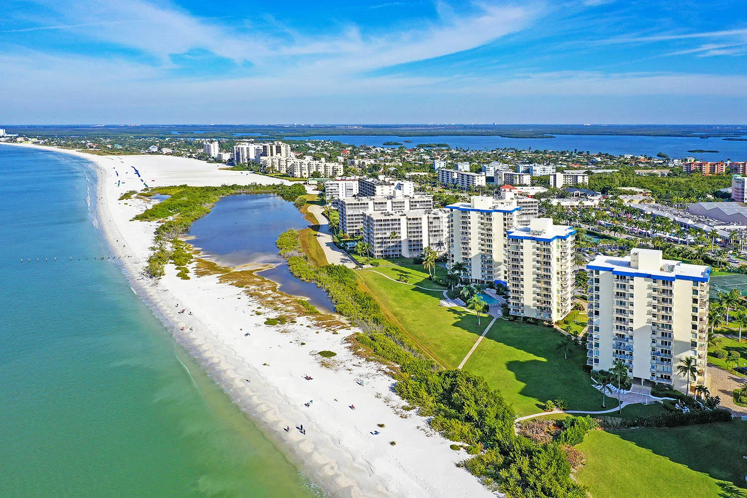 Palms and beach view