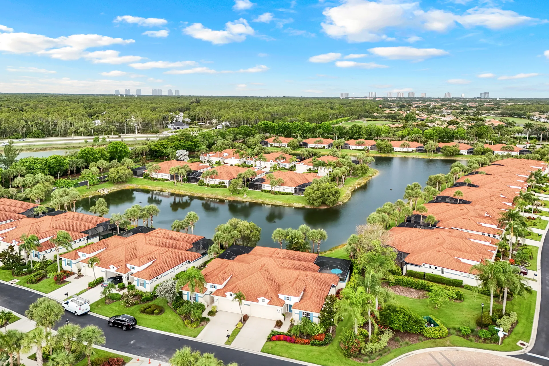 Palms and beach view