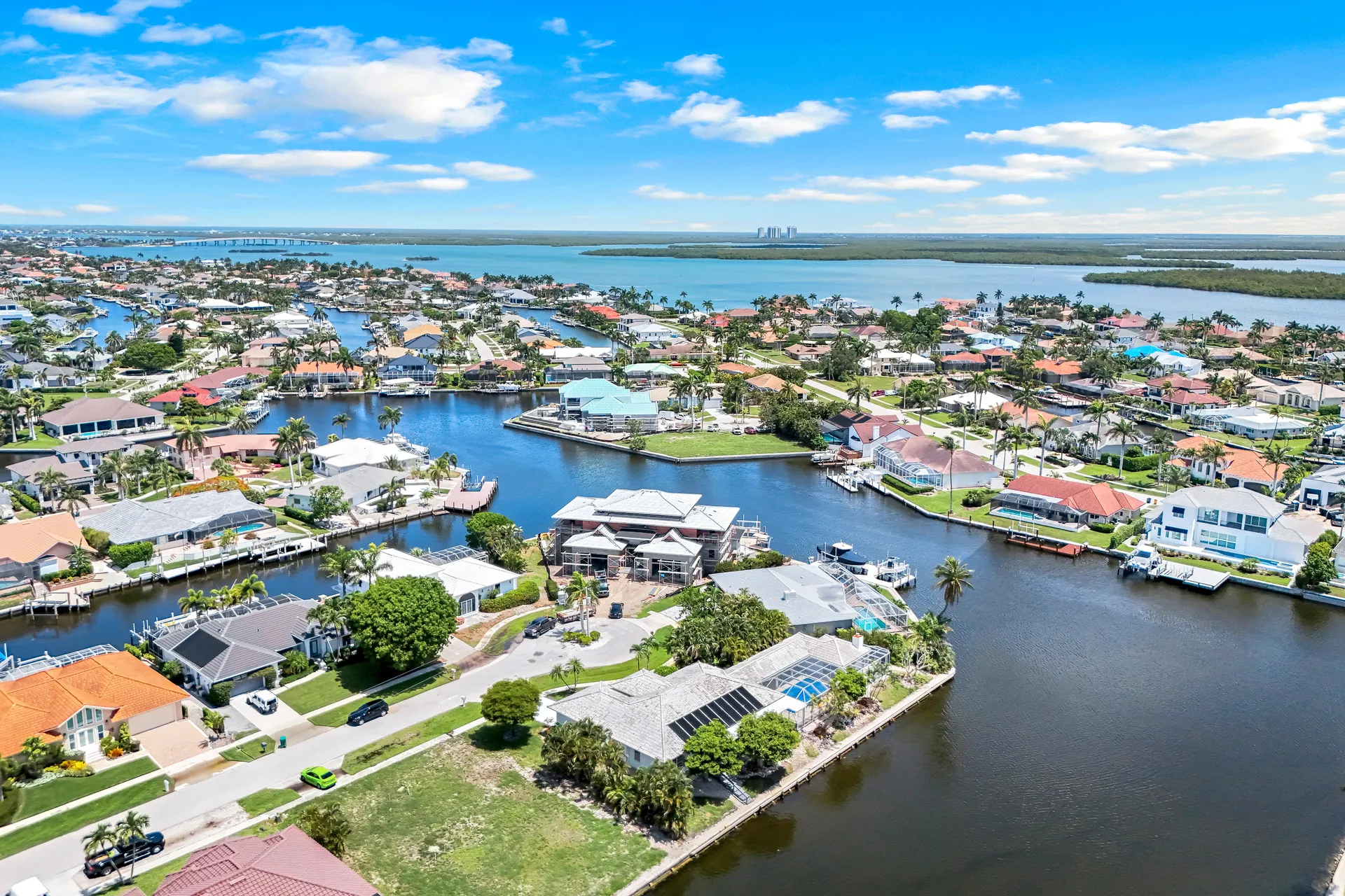 Palms and beach view