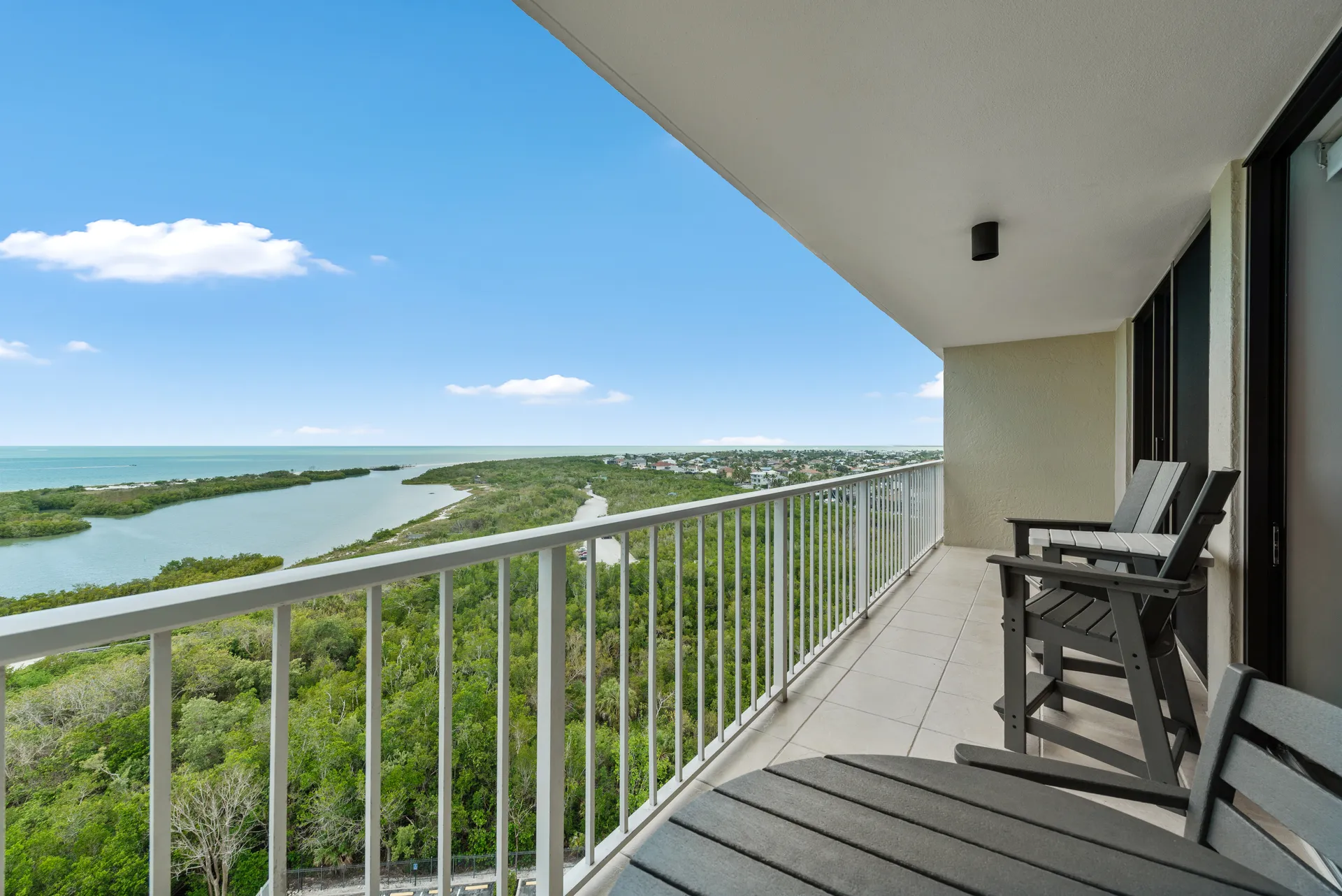 Palms and beach view