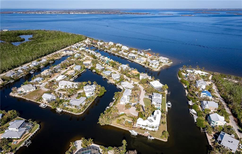 Palms and beach view