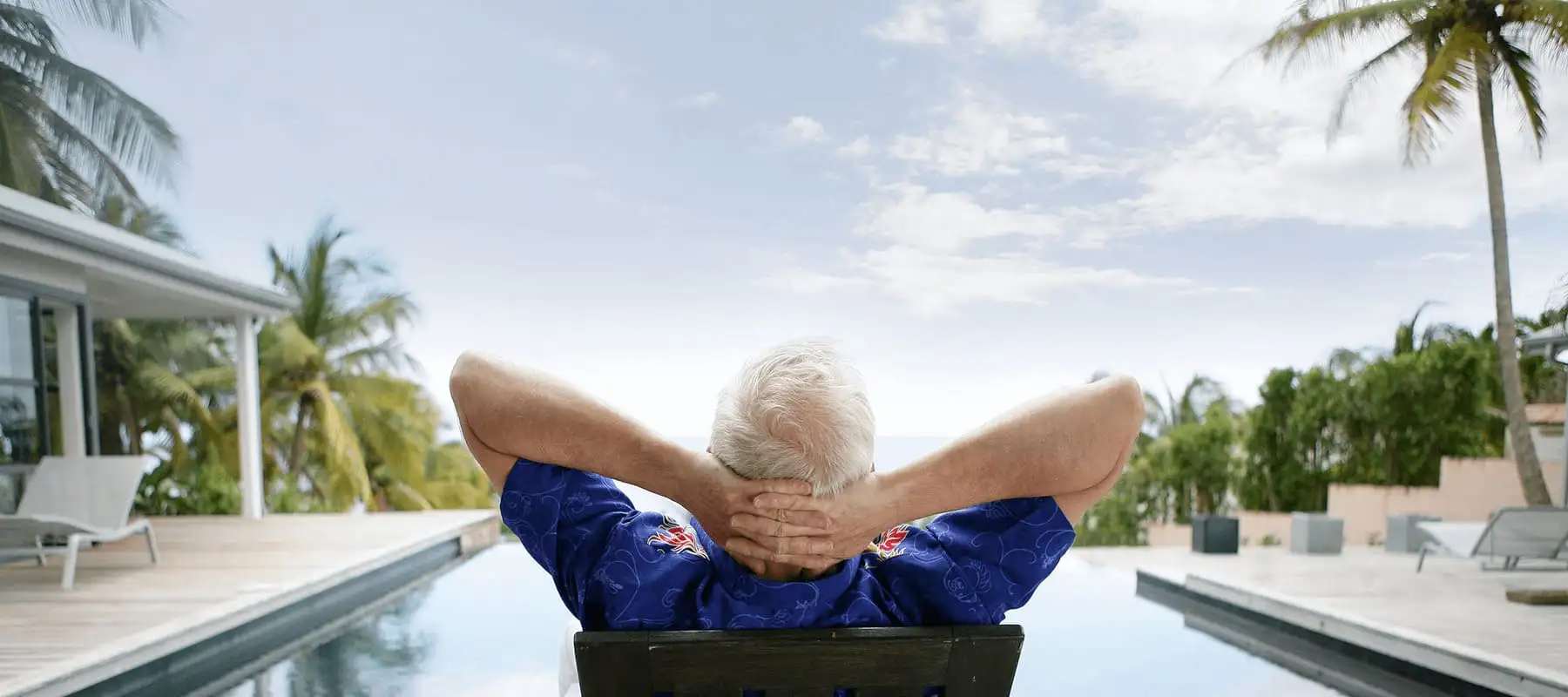 Palms and beach view