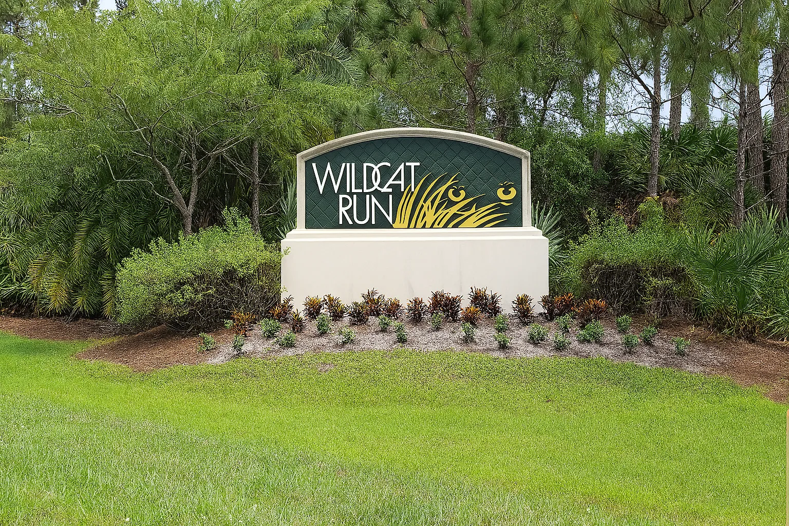 Palms and beach view