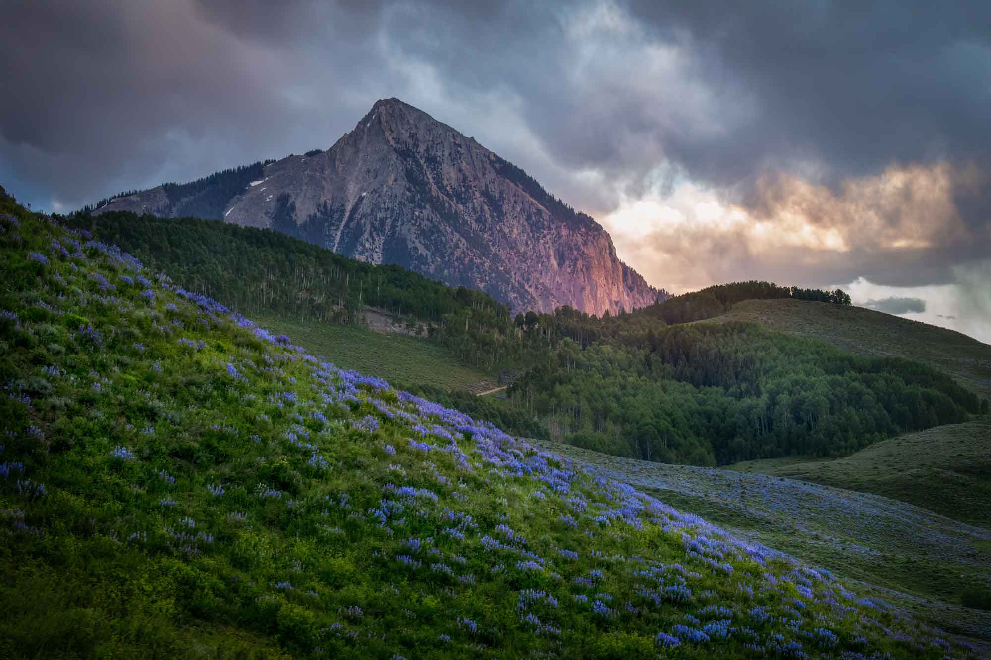 Corcoran Perry & Co Crested Butte