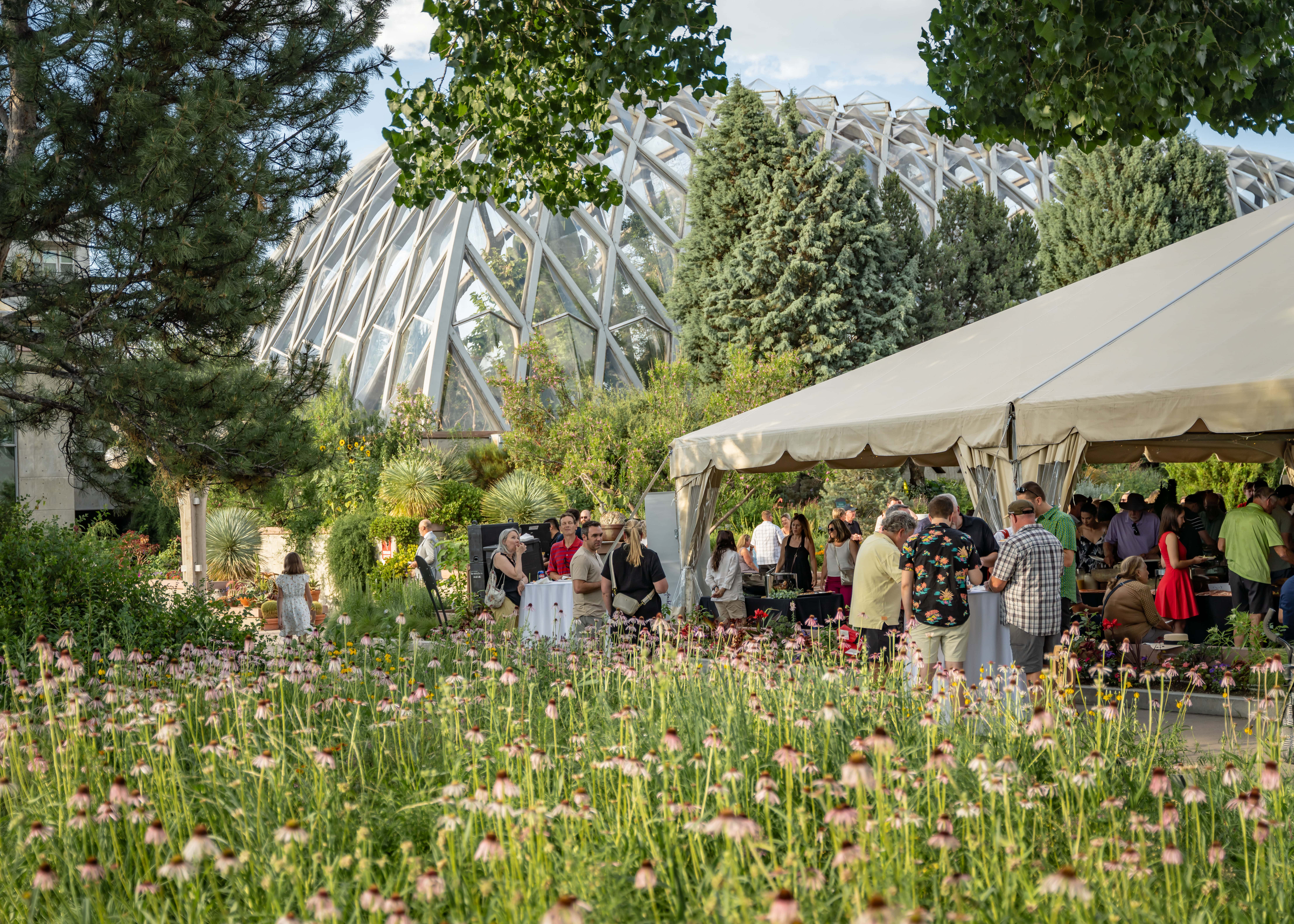 Corcoran Perry & Co. - Cheesman Park