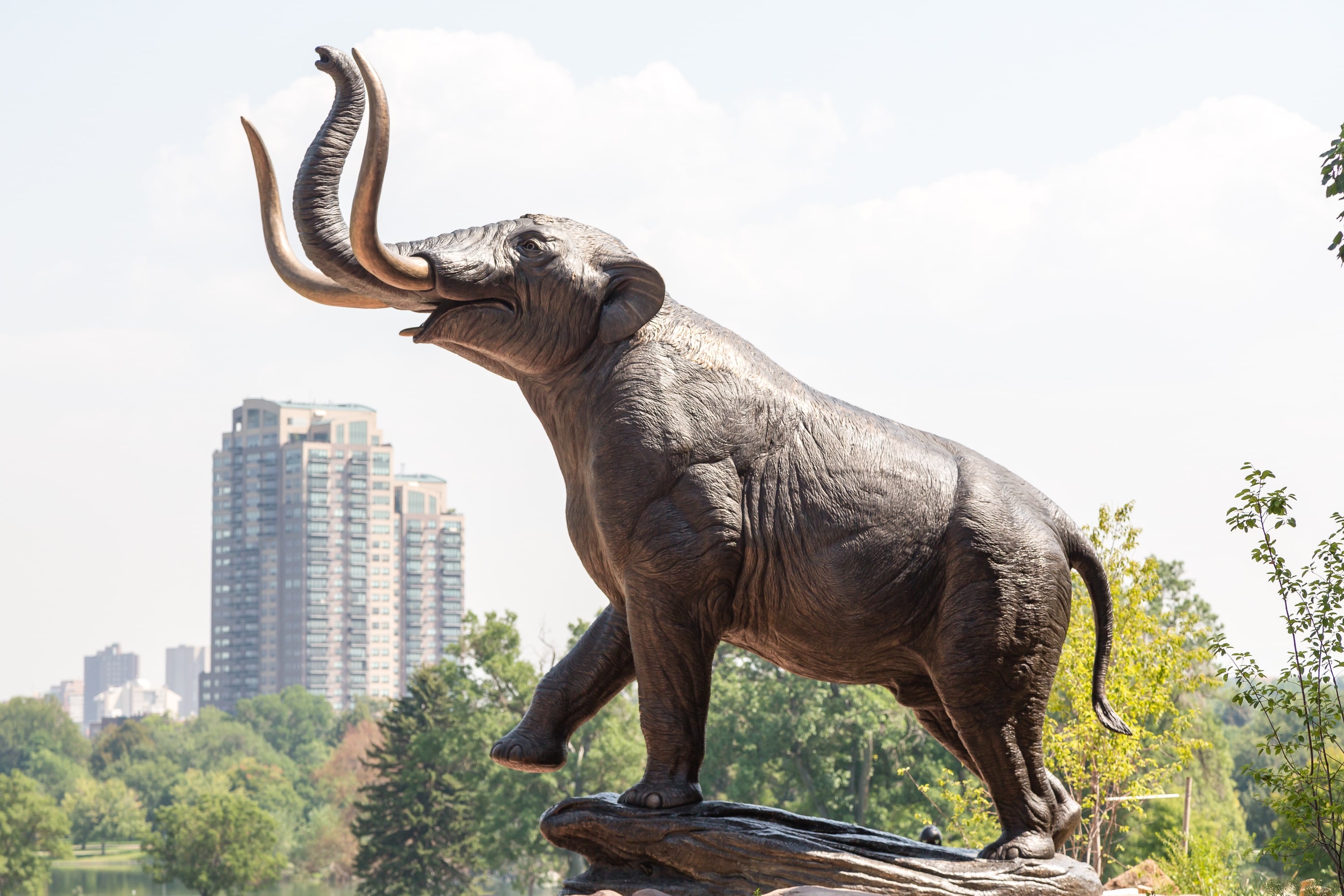 Corcoran Perry & Co. - City Park