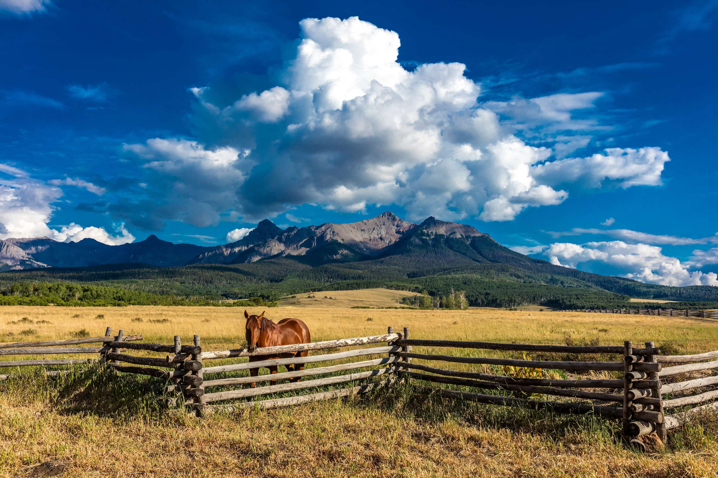 Corcoran Perry & Co. | Ridgway Town