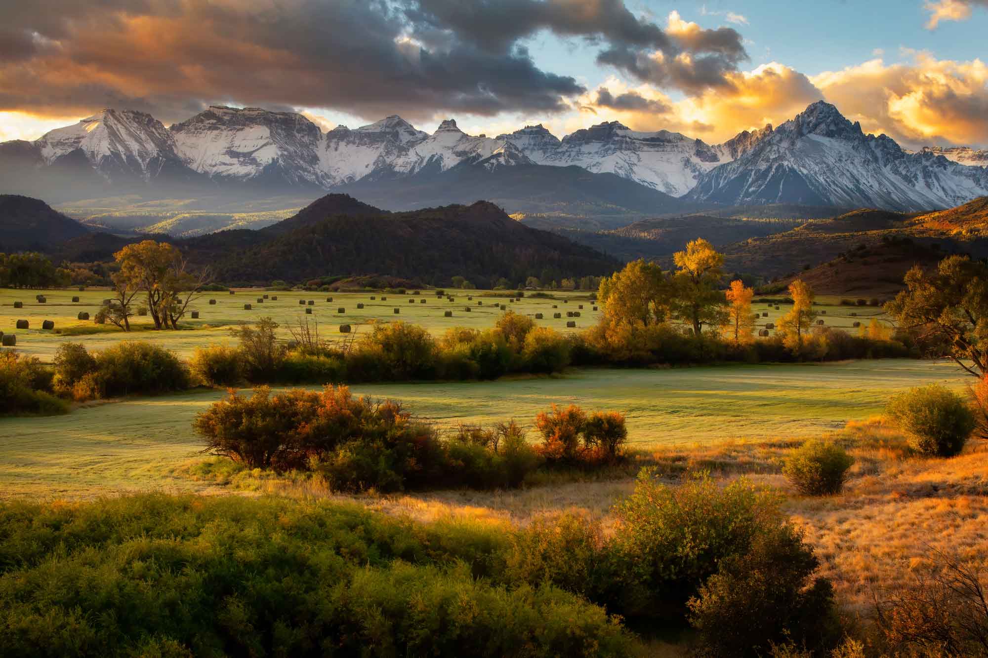 Corcoran Perry & Co Ridgway