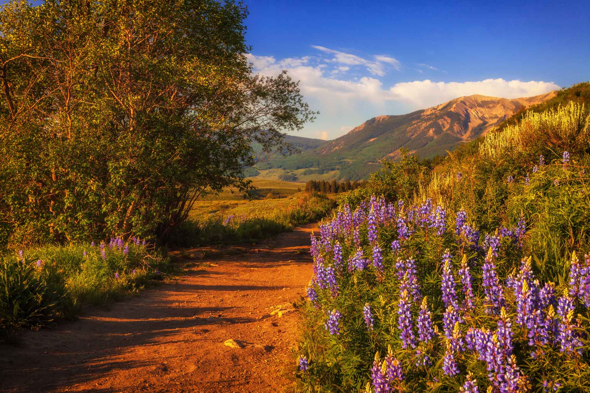 Corcoran Perry & Co. Western Mountains