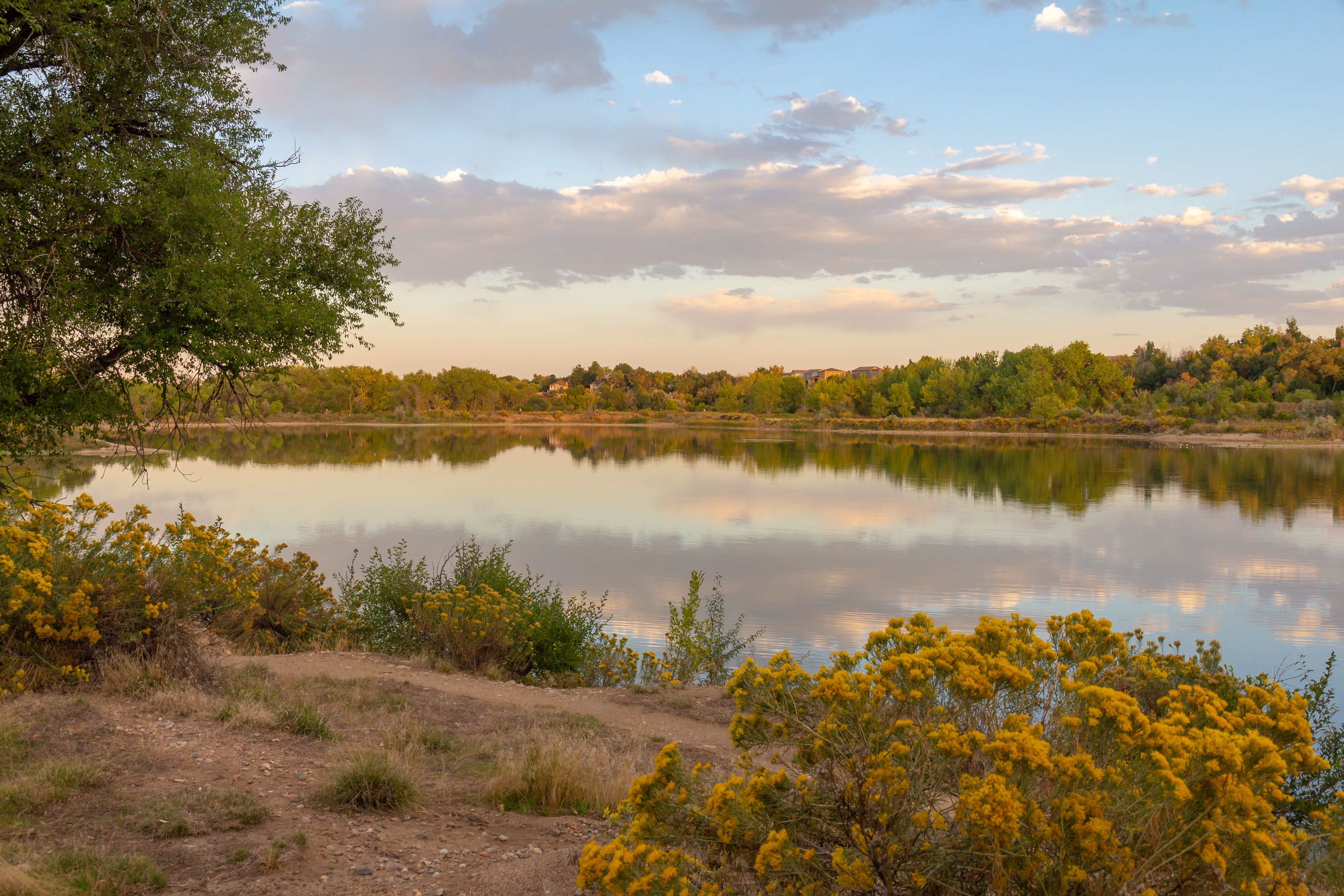 Corcoran Perry & Co. - Wheat Ridge