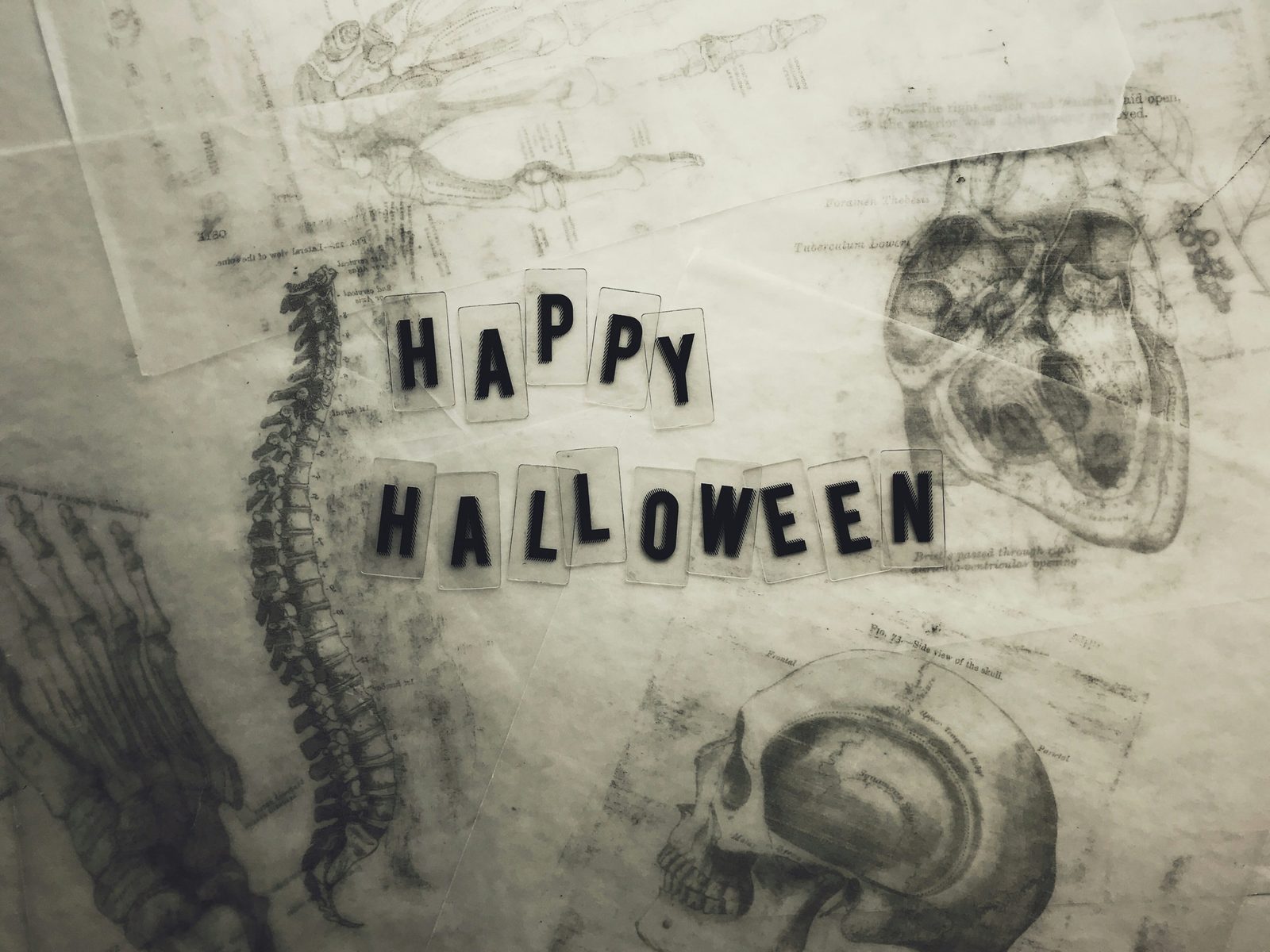 Vintage anatomical sketches of a spine, skull, and hand on translucent paper beside tiles spelling Happy Halloween