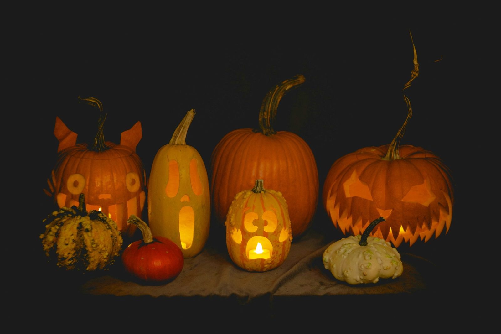 Row of carved pumpkins and gourds glowing with candlelight against a dark background