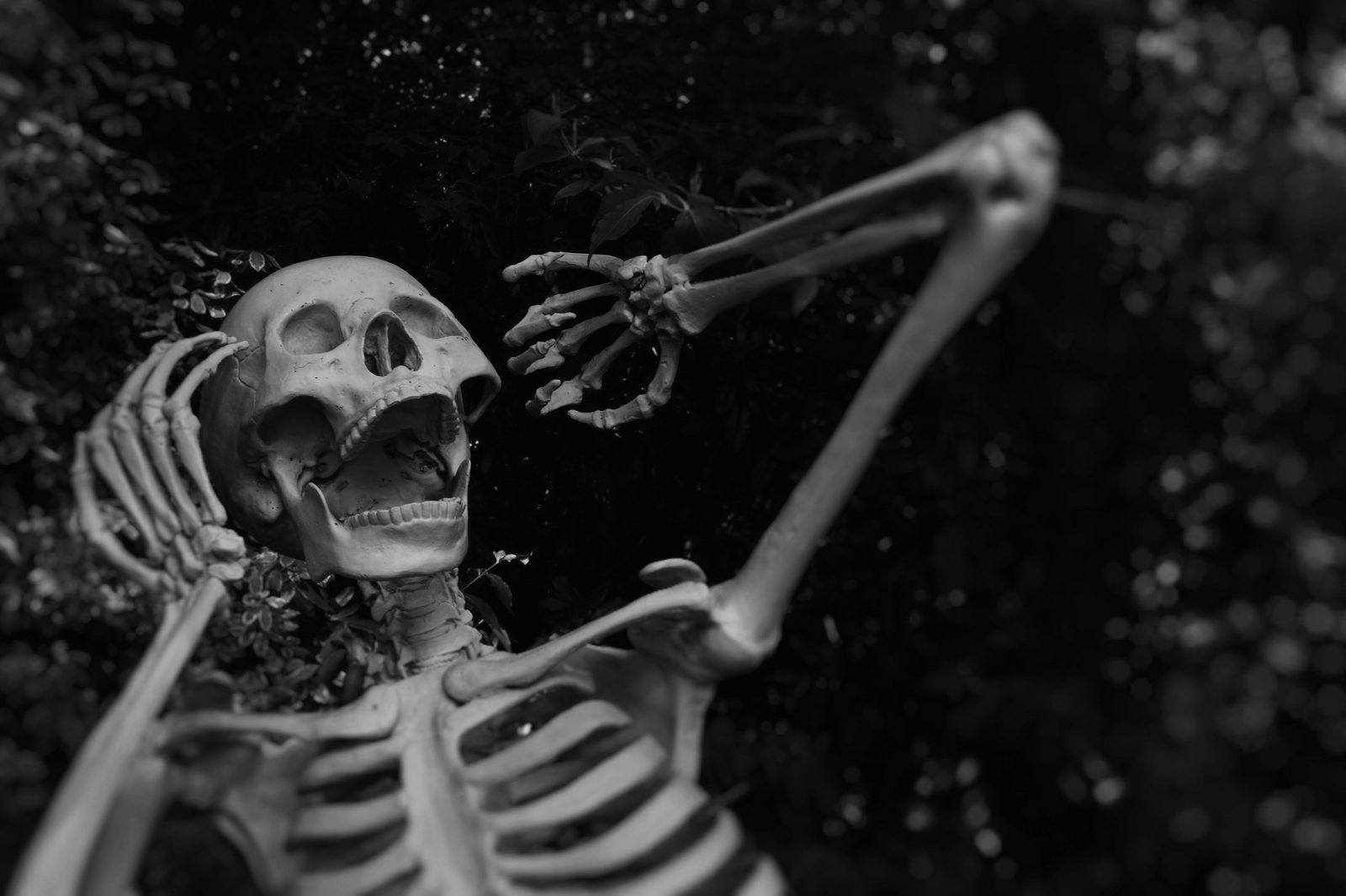 Skeleton prop in black and white with a hand on its skull and its jaw open in dramatic dismay