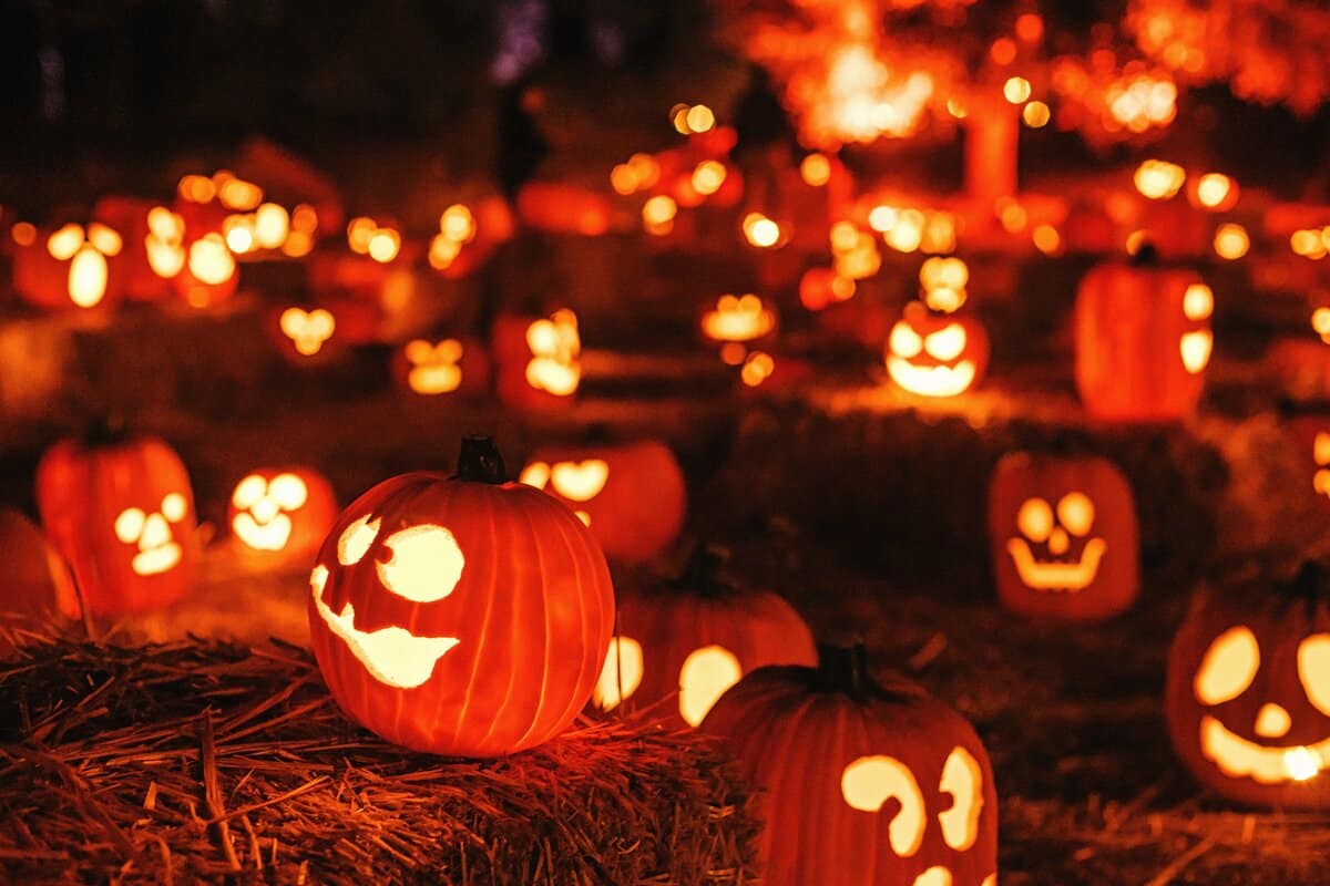 Carved jack-o'-lanterns glowing at night at a Denver-area pumpkin illumination event