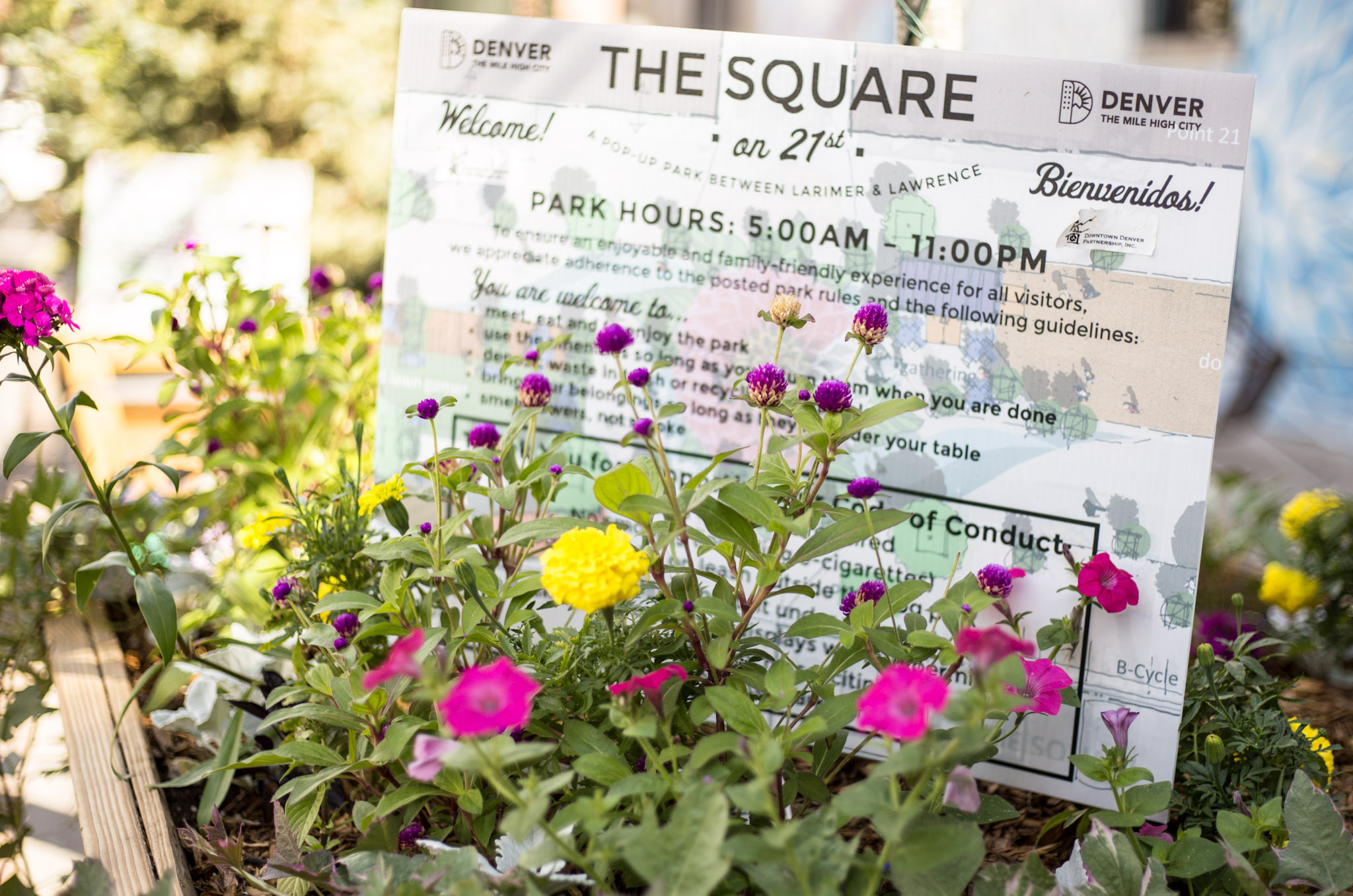 The Square on 21st