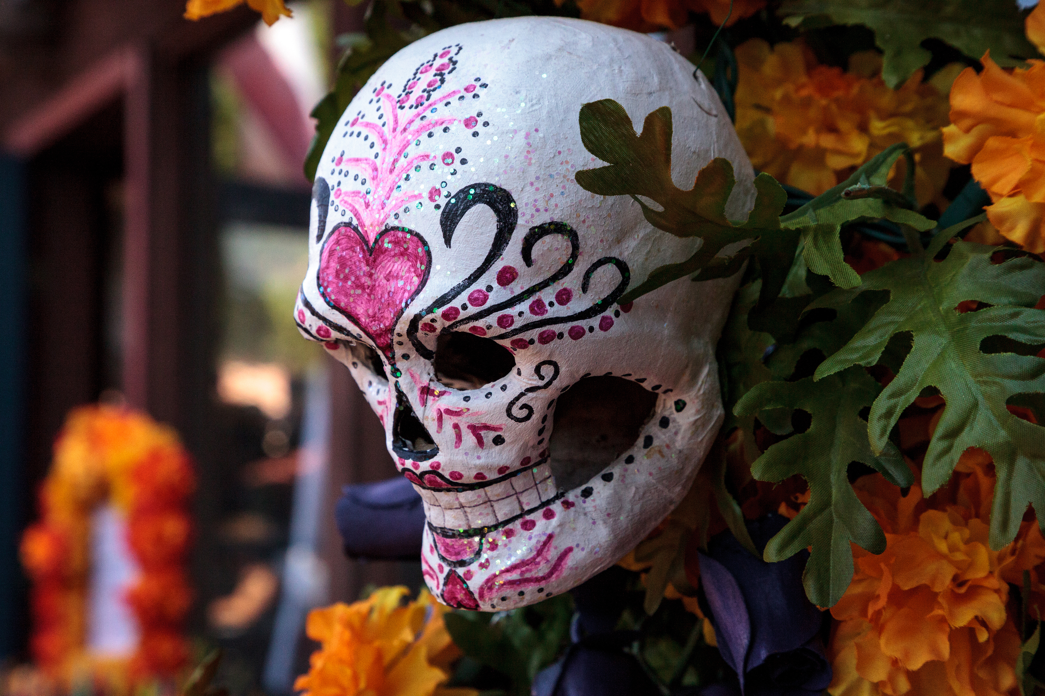 Denver Dia De Los Muertos