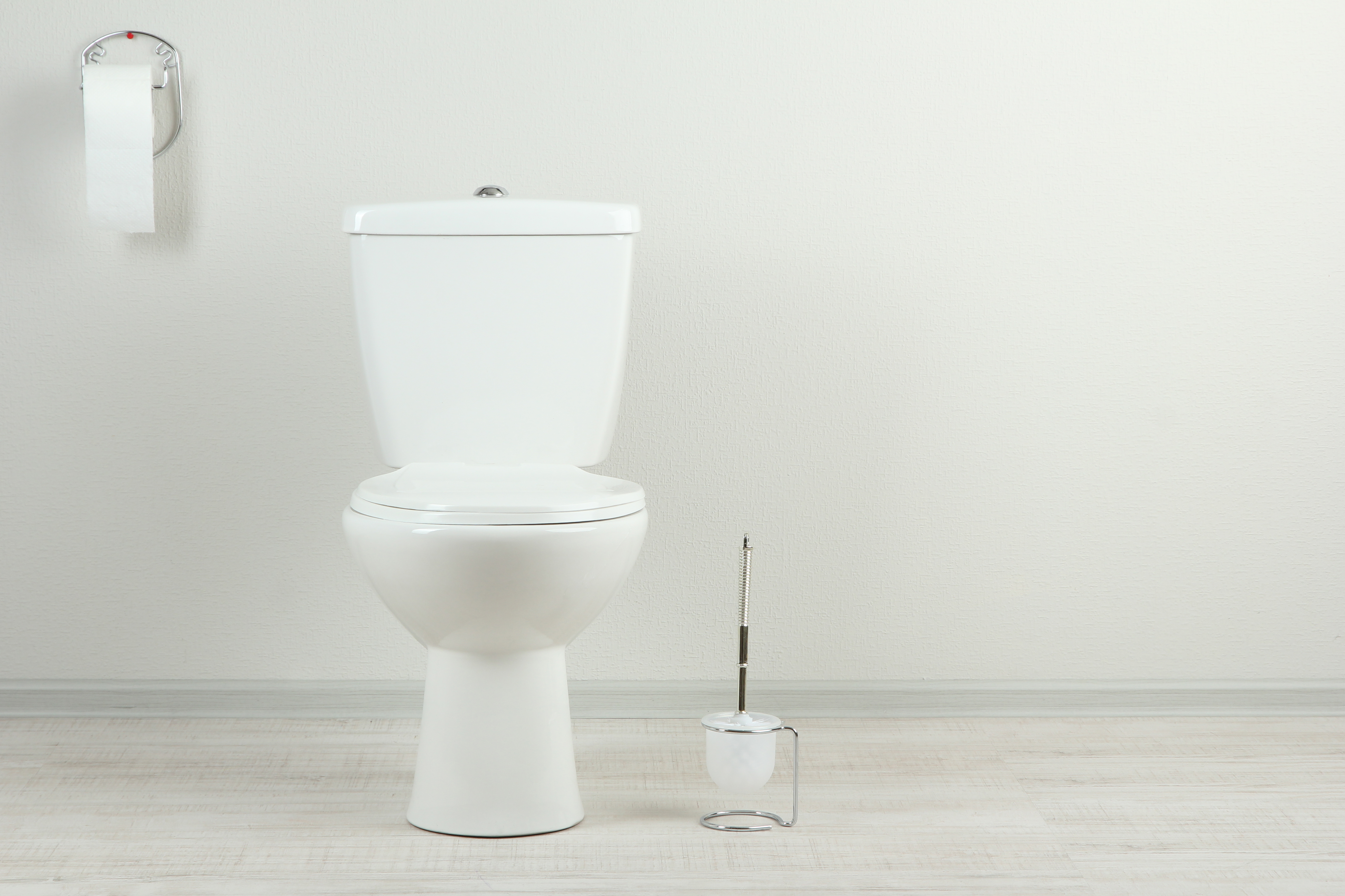 new toilet seat
