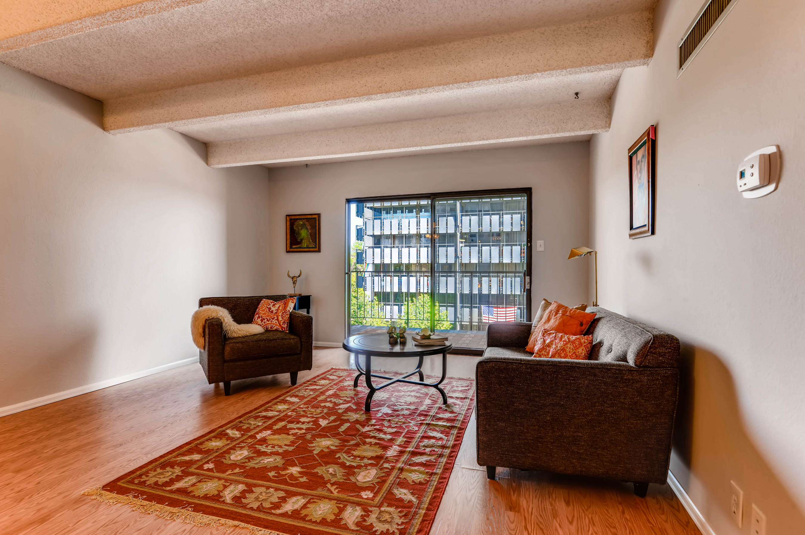 Denver Condo Living Room