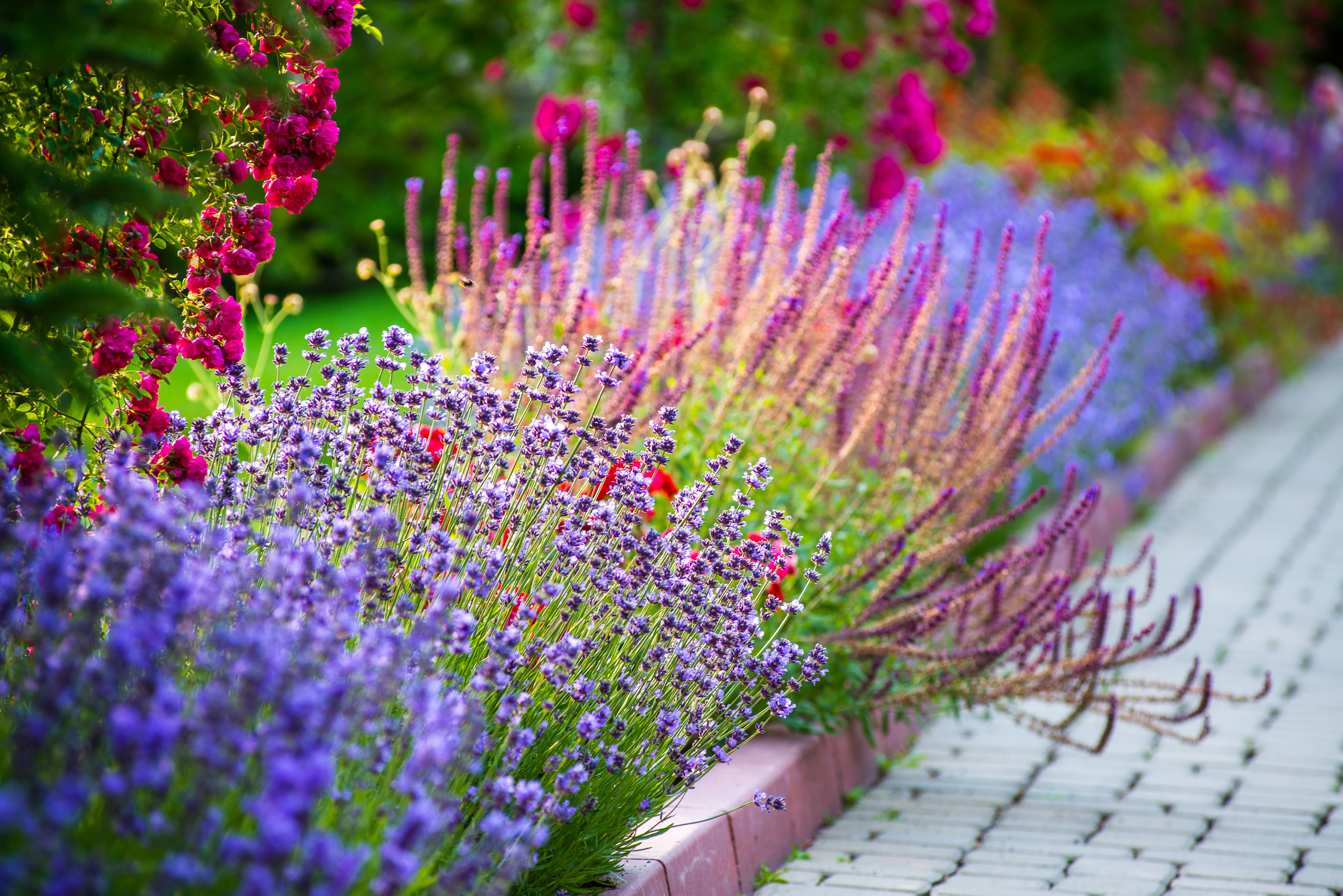 HOA Upkeep Fees