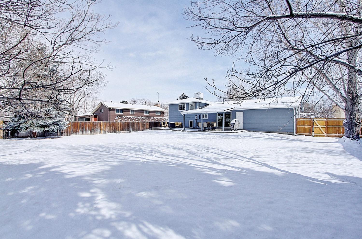 Hampden-Heights-backyard