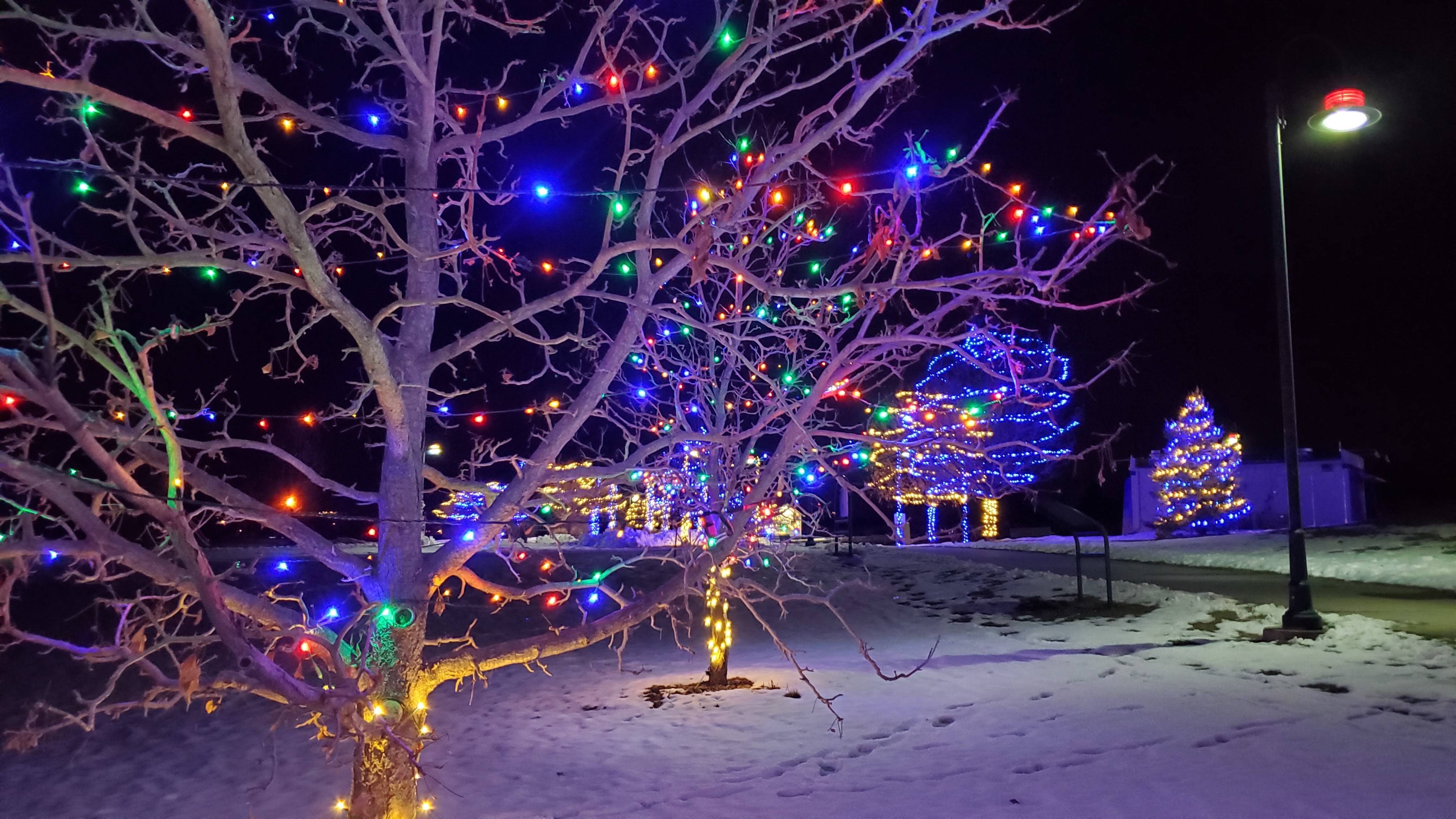 The Best holiday lights in Denver