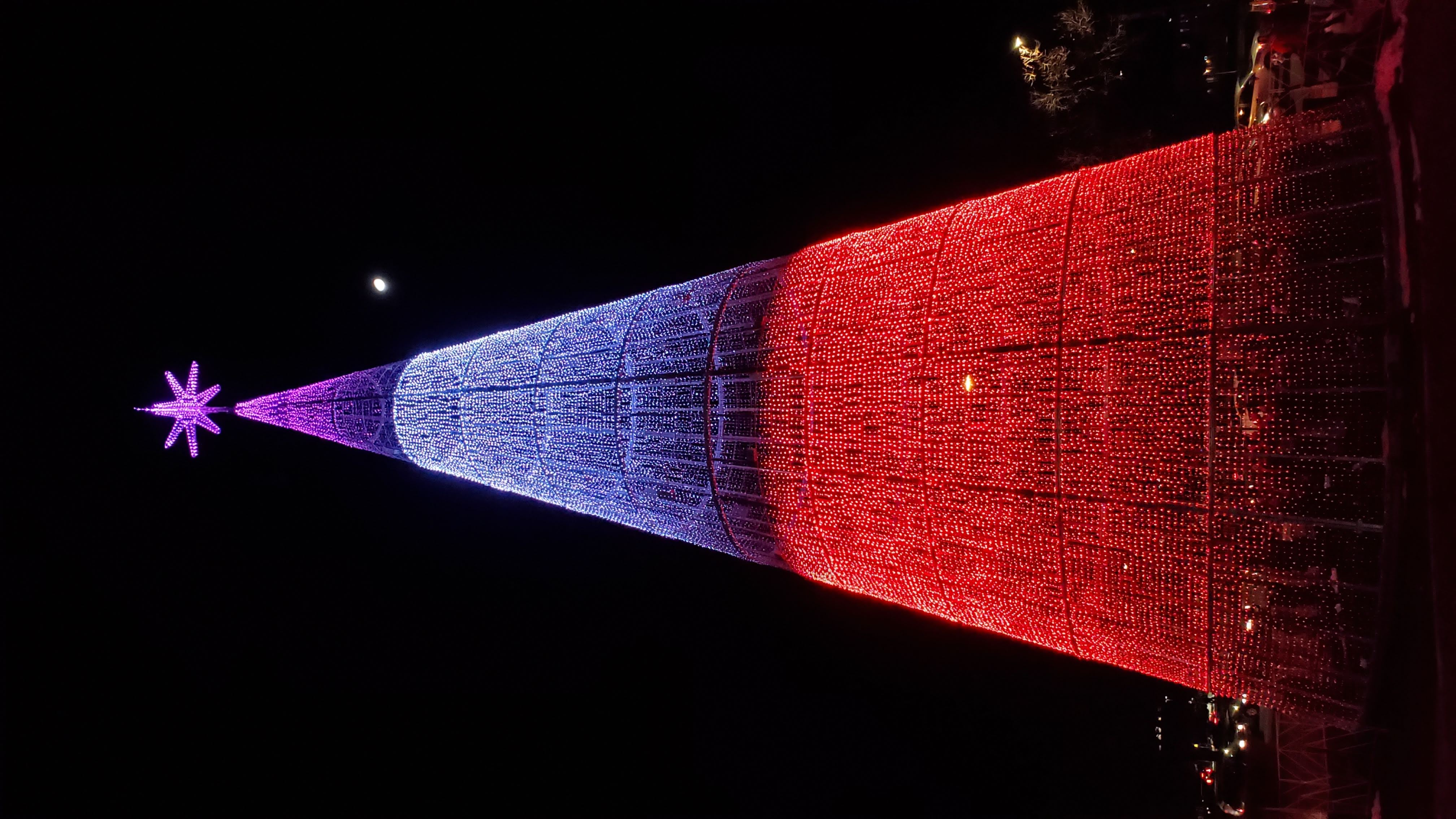 Mile High Tree 2019