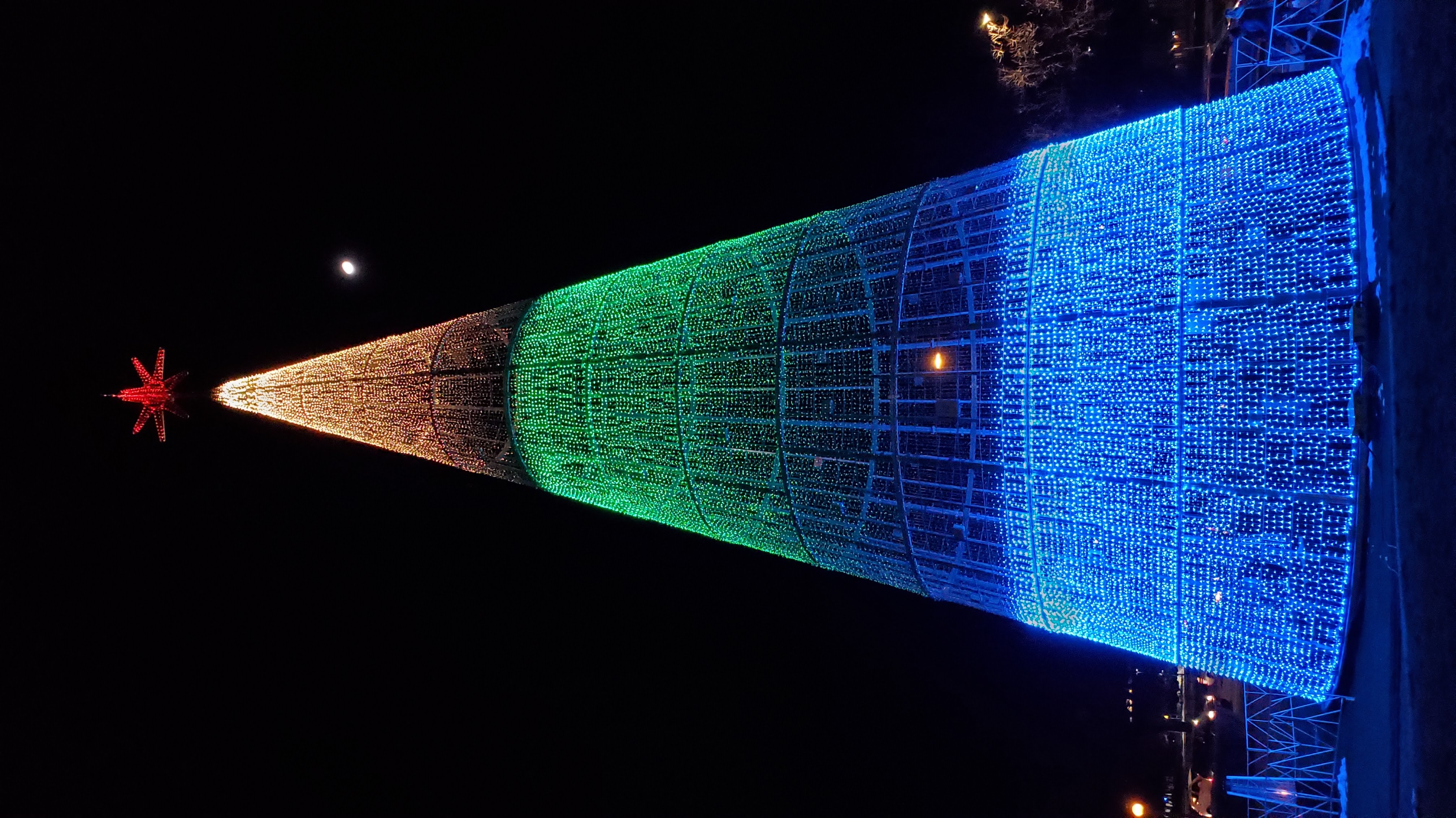 Mile High Tree Denver