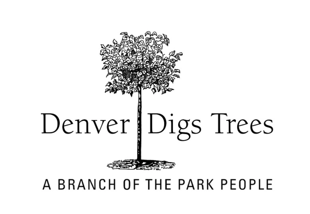 Denver Digs Trees Denver Park People