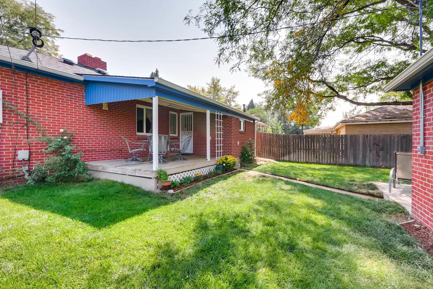Denver-backyard