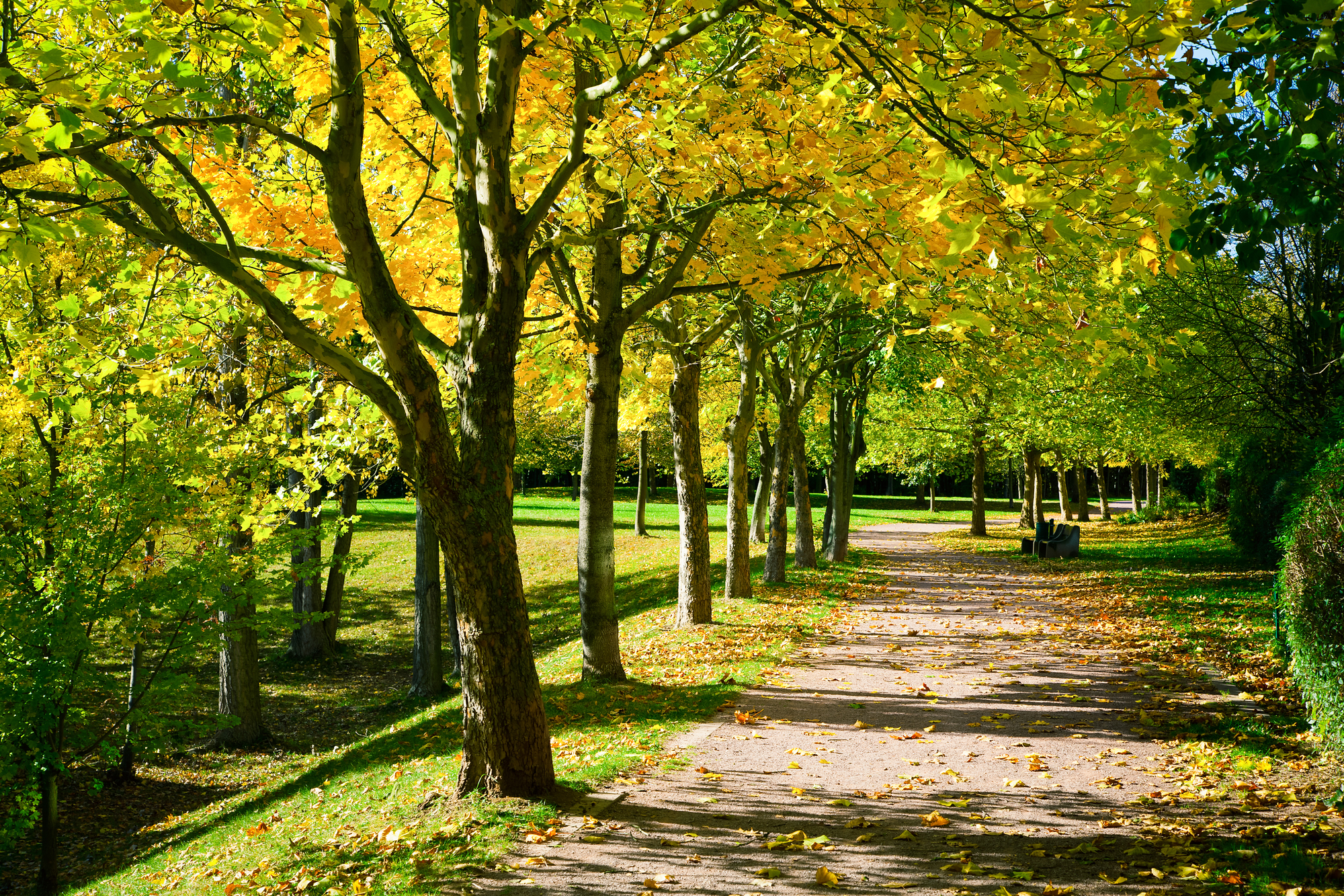 the best neighborhoods in denver for shade