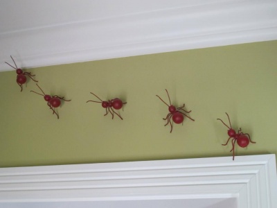 ants_400
