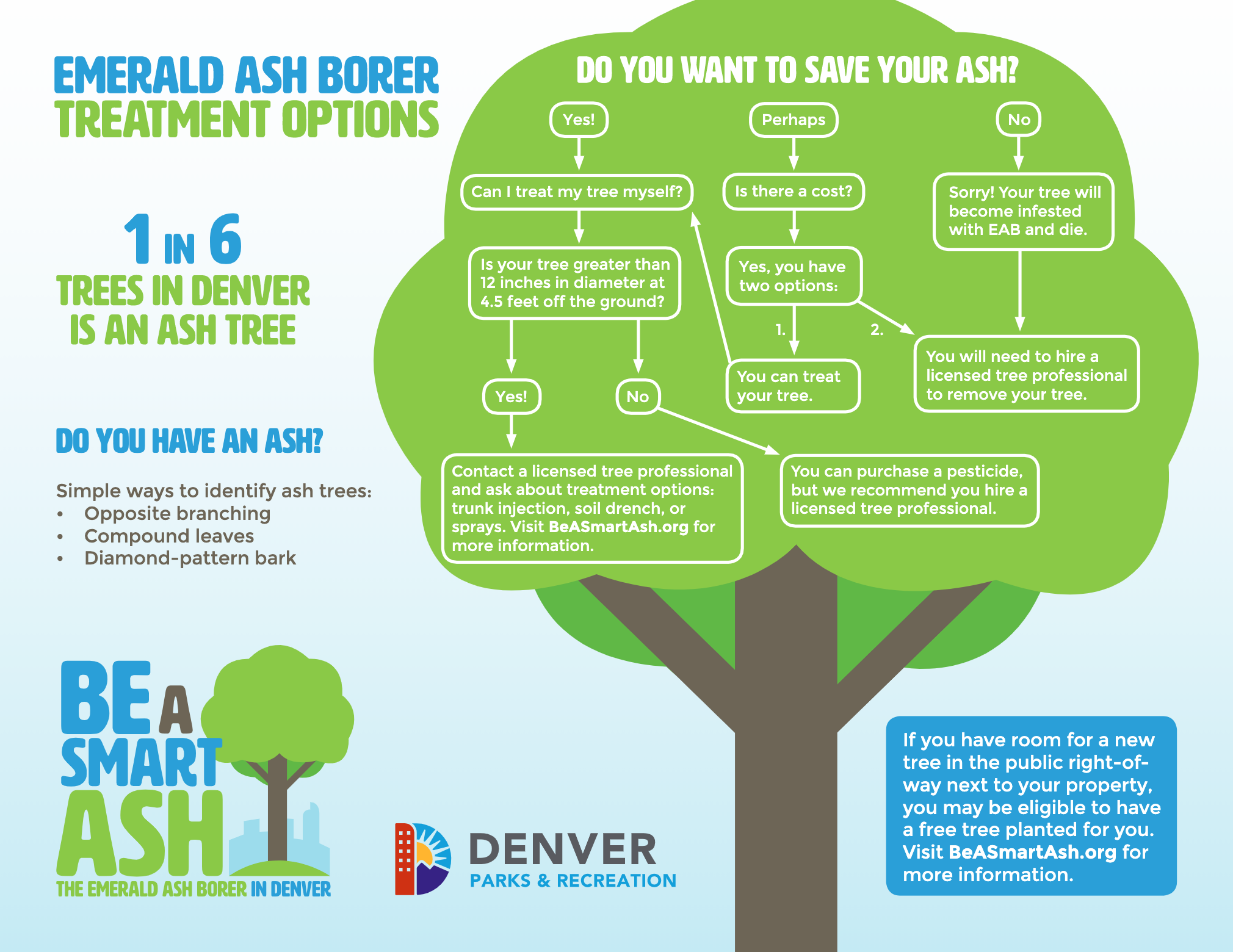ash tree disease