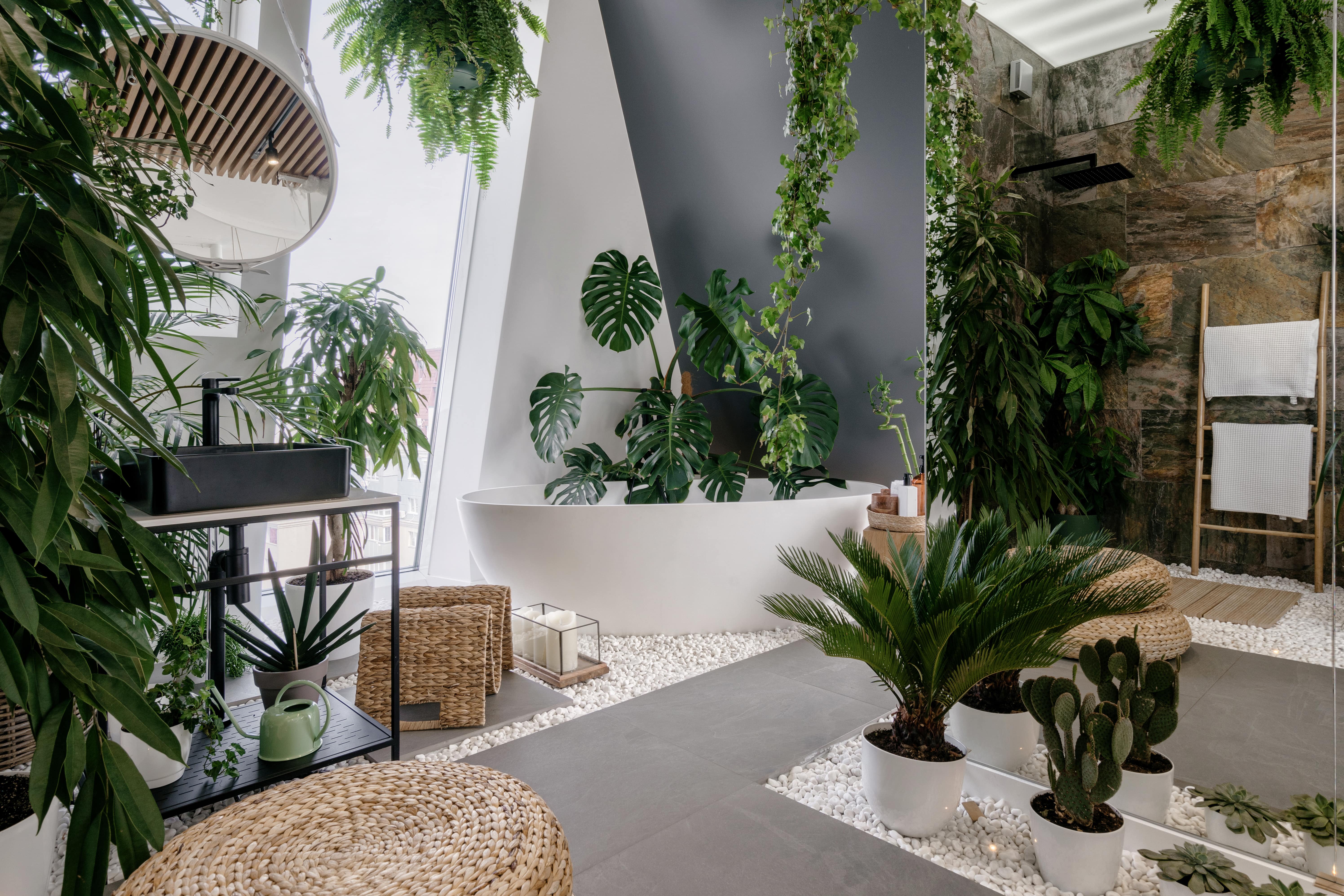 biophilic desing