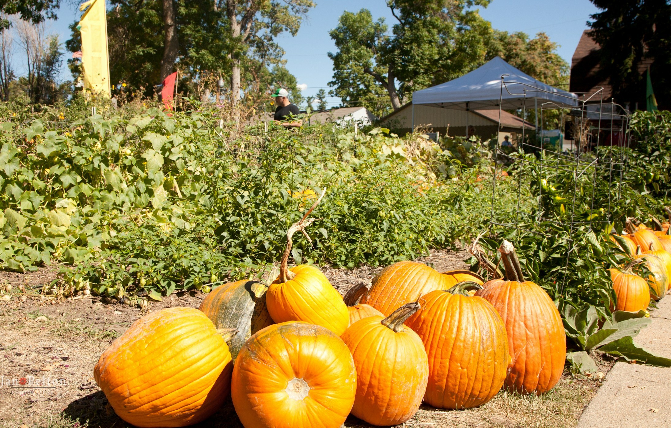 Fall Events in Denver