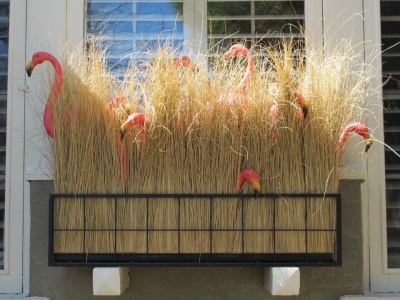 flamingos_2_400