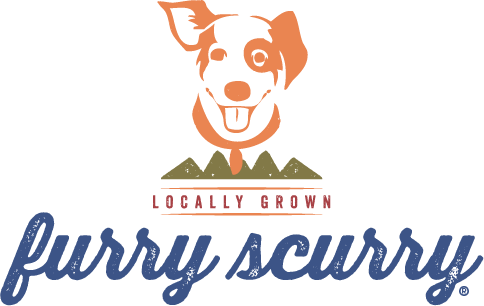 Furry Scurry