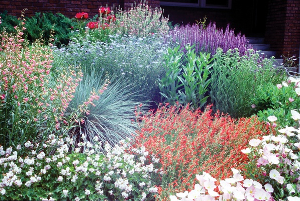 greenergarden_597