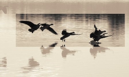 landing_450