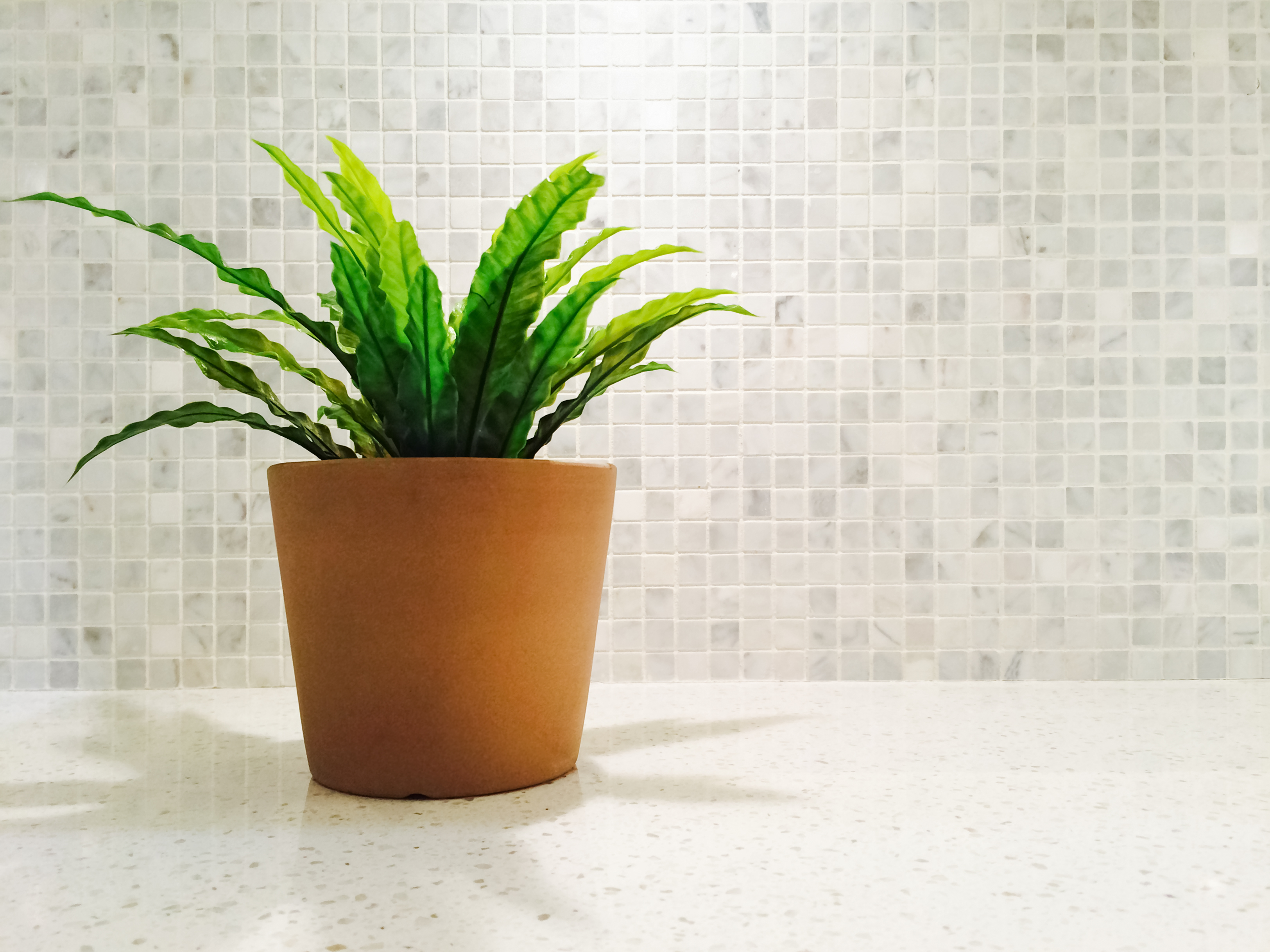redo your backsplash