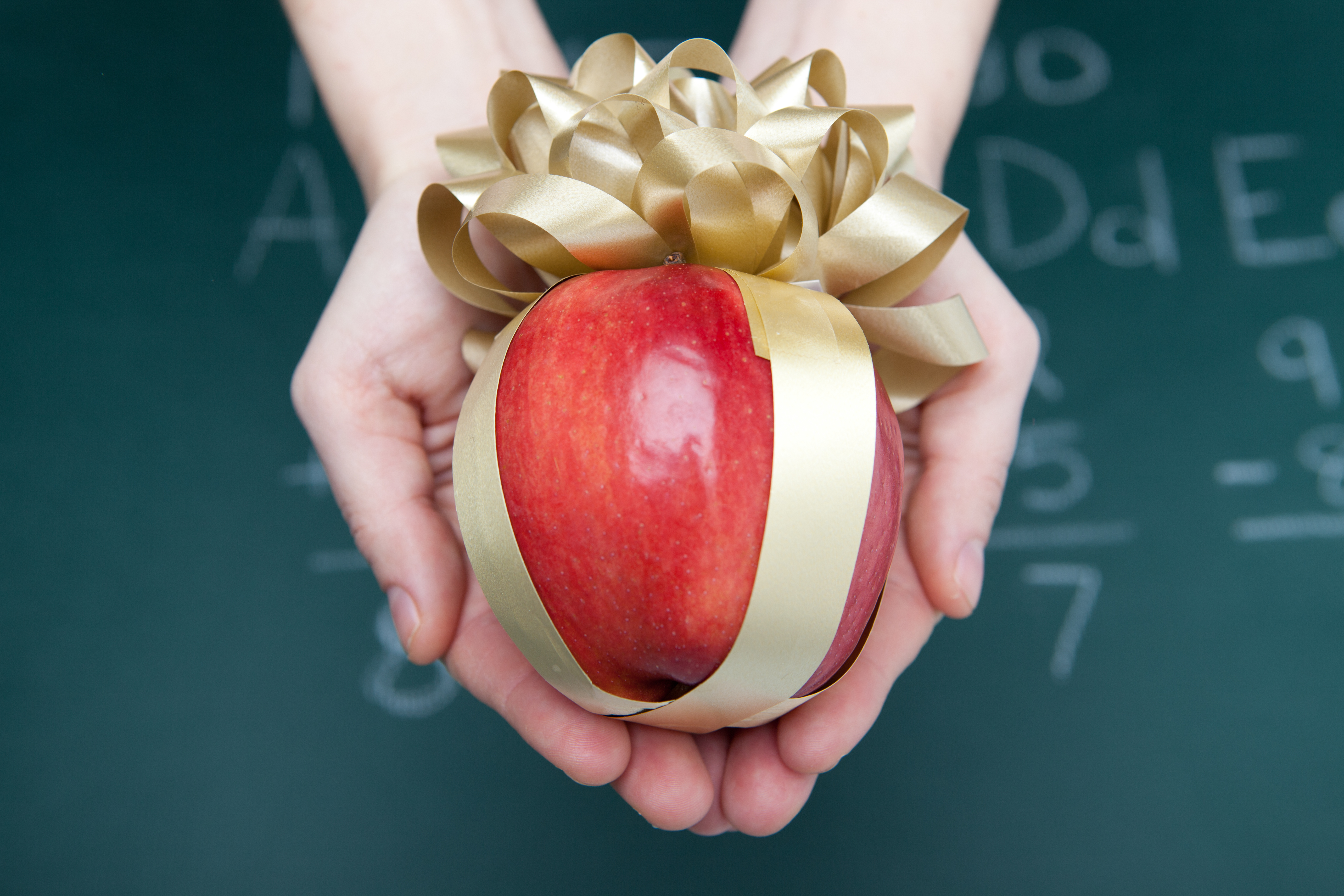Teacher Appreciation