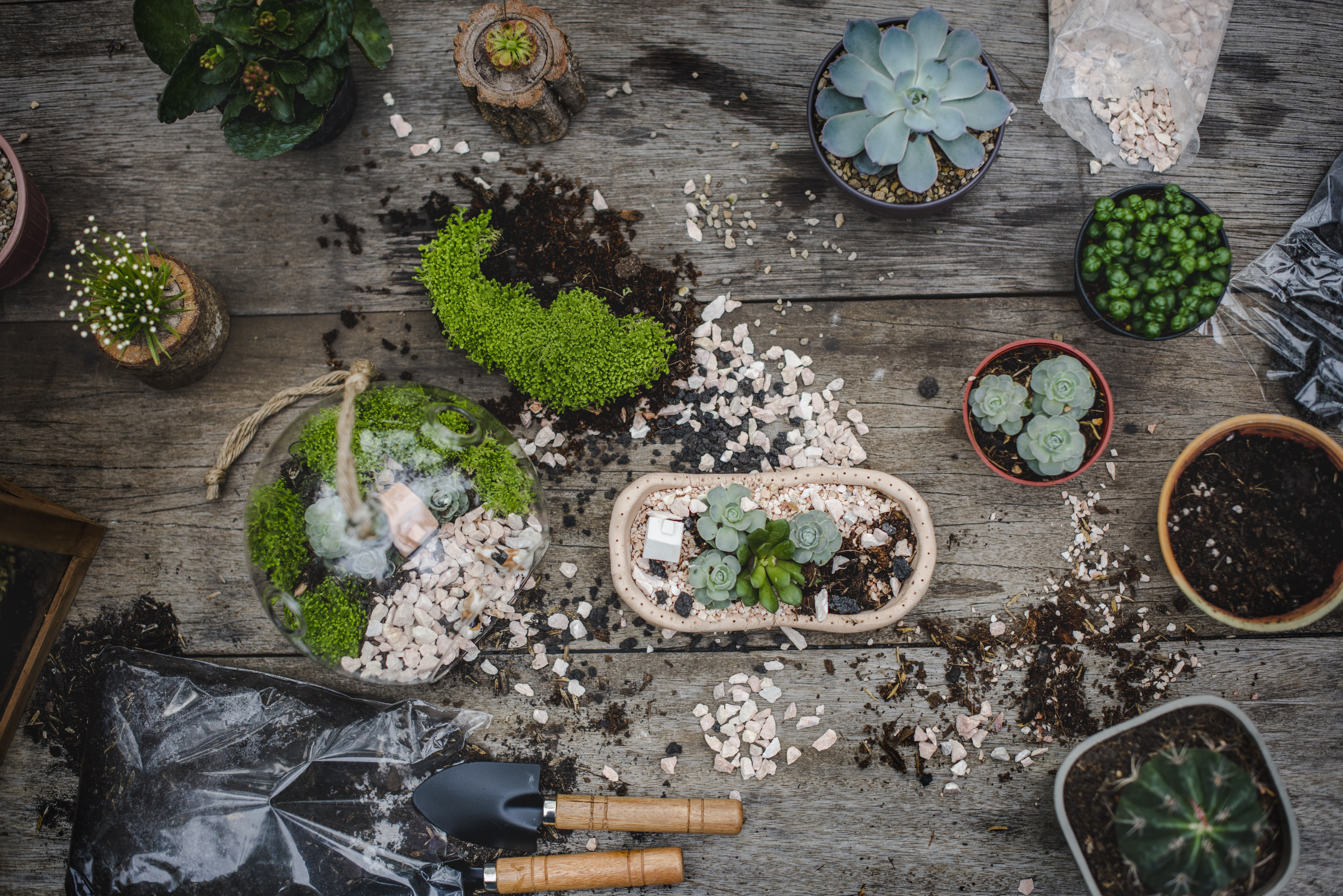 Urban Balcony Garden Denver