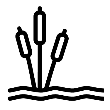 Golf Course
