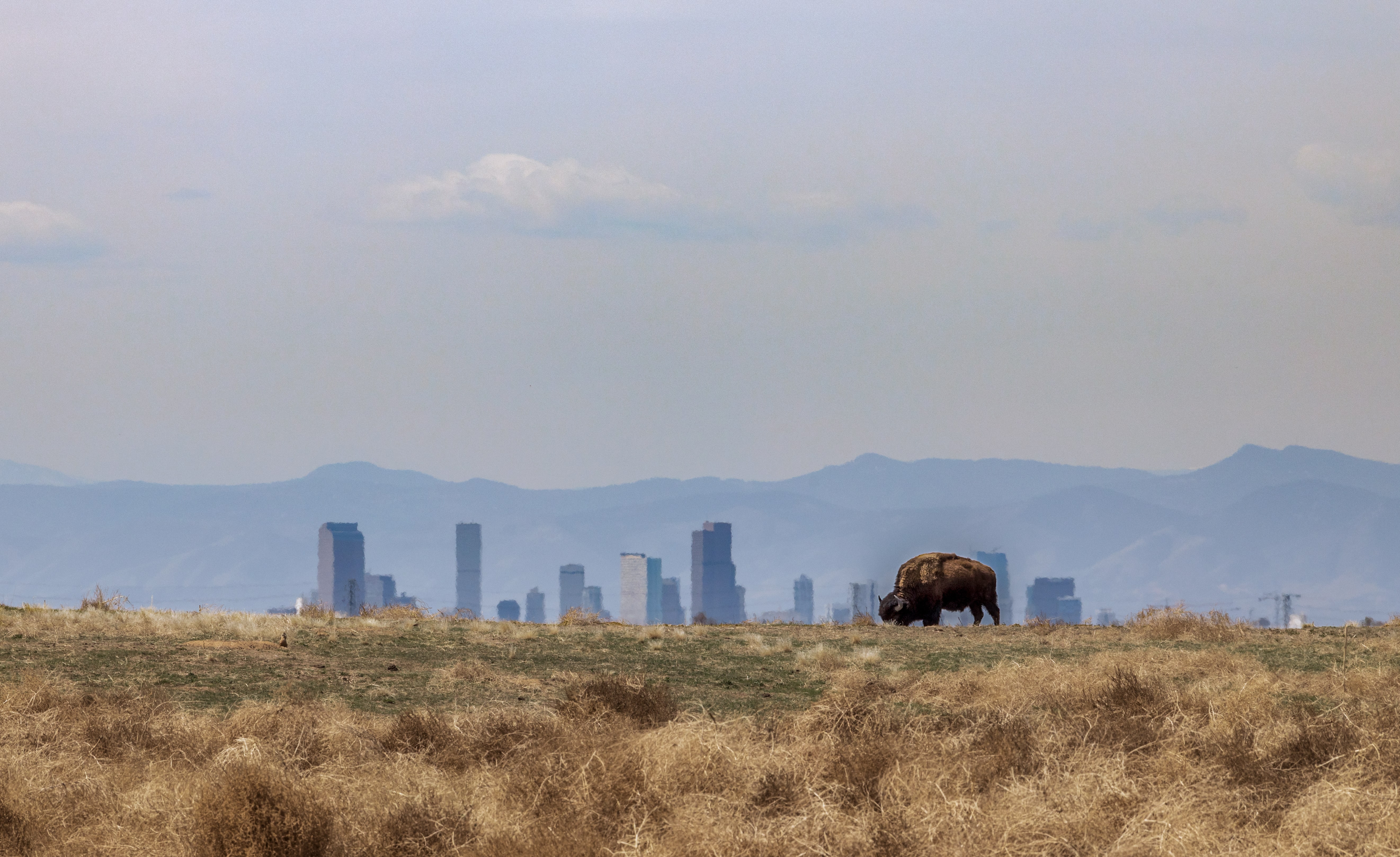 Corcoran Perry & Co. | Montbello Neighborhood