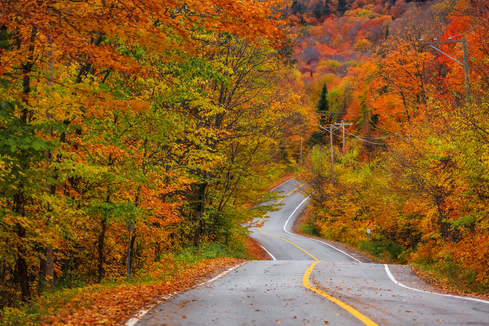 Vermont Road in the Fall