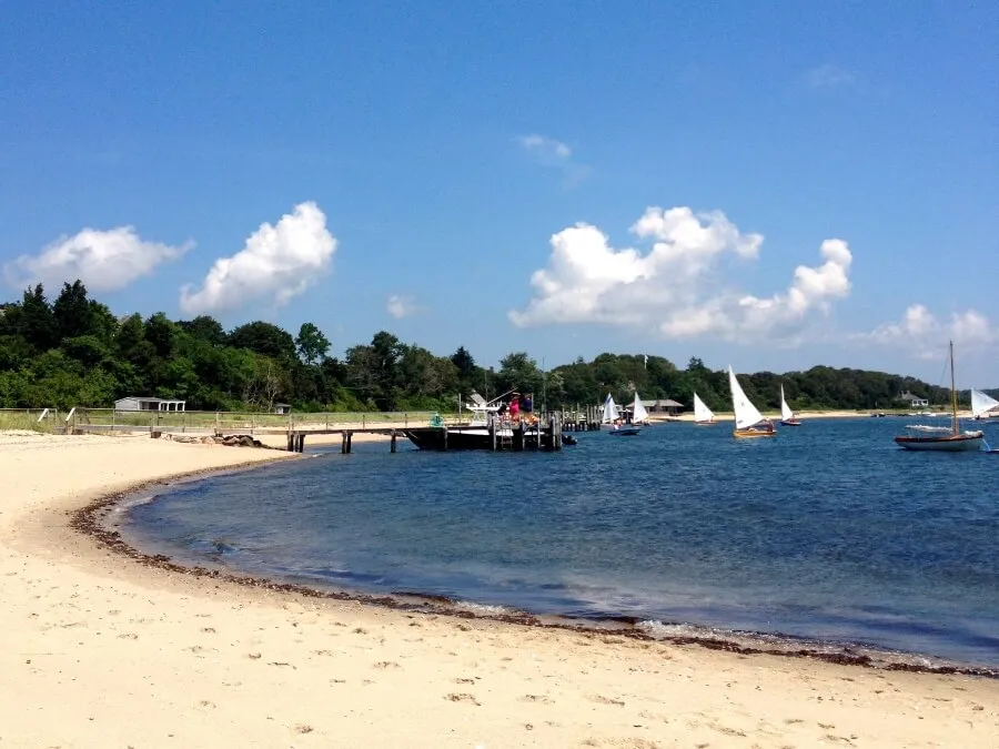 Cotuit Regatta