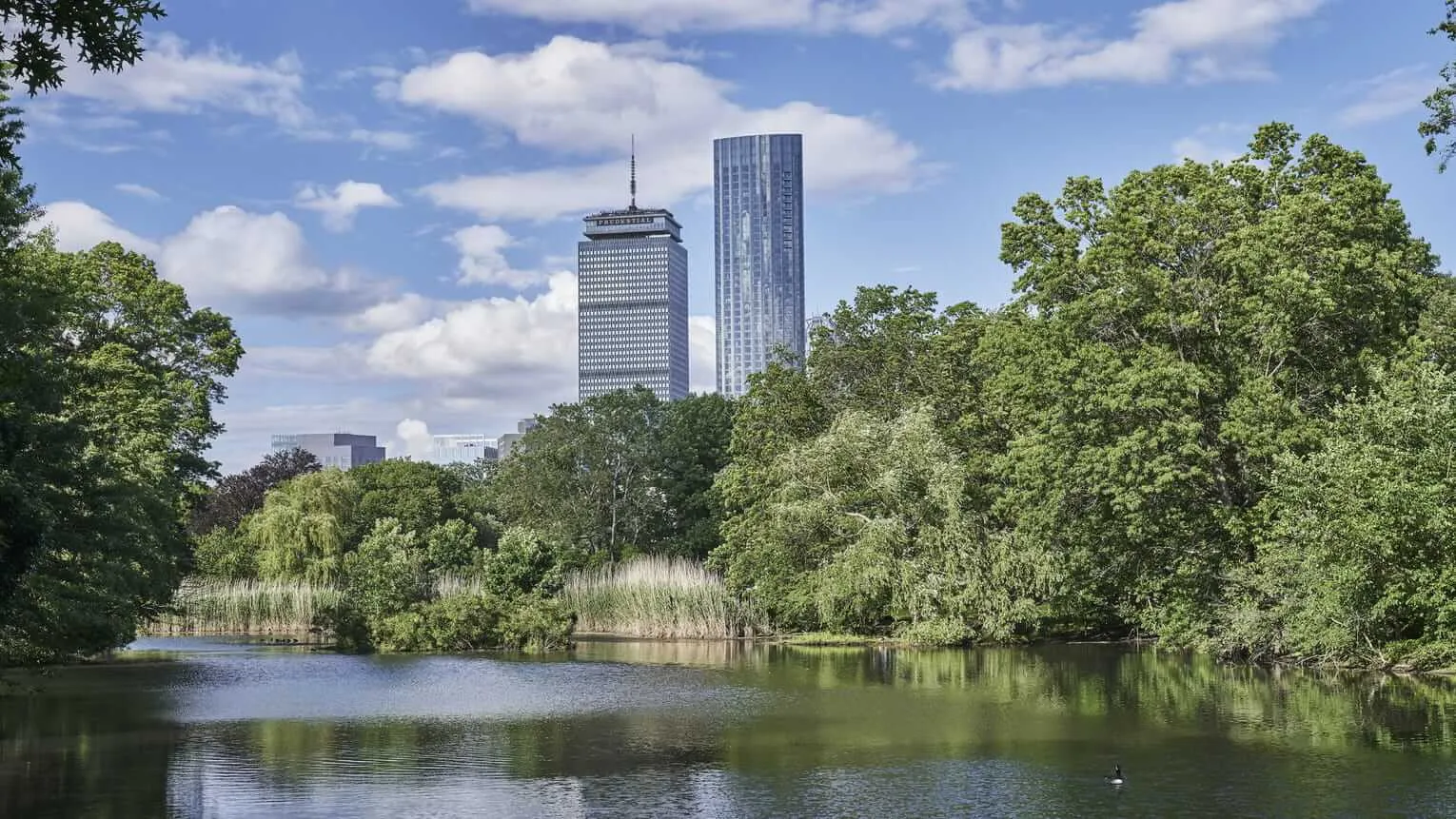 Four Seasons - One Dalton